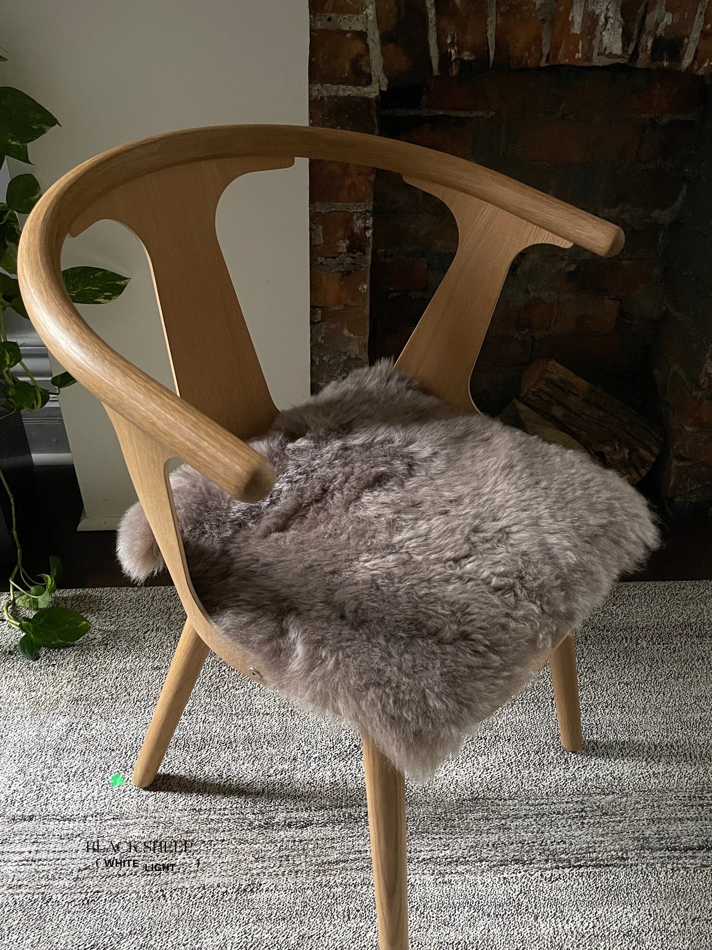 Shorn Taupe Icelandic Sheepskin Chair Pad - Black Sheep (White Light)