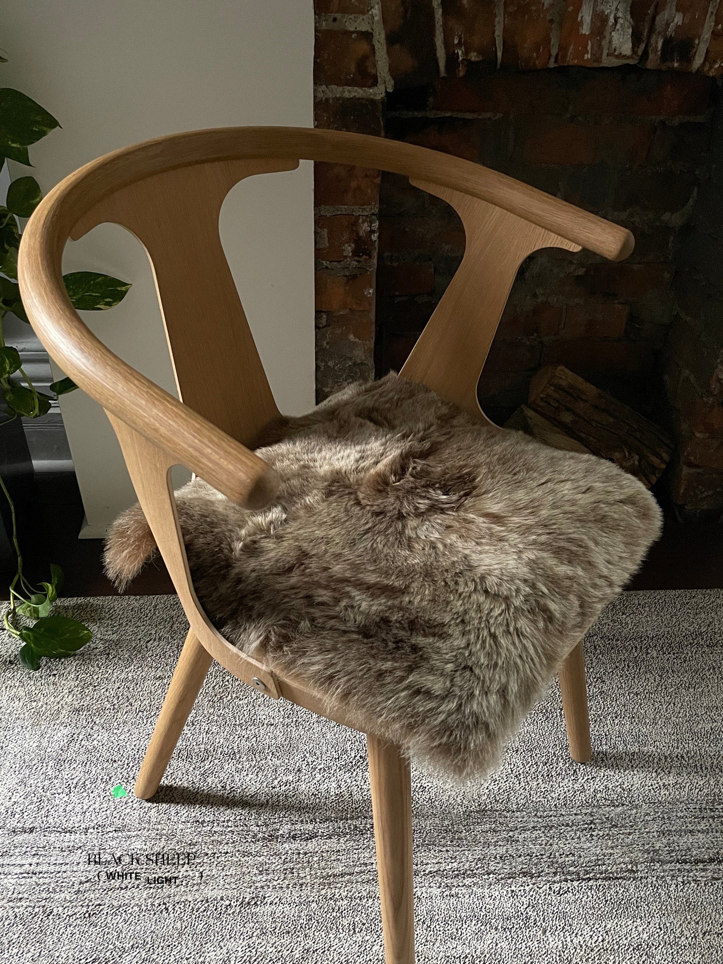 Shorn Brown Icelandic Sheepskin Chair Pad - Black Sheep (White Light)