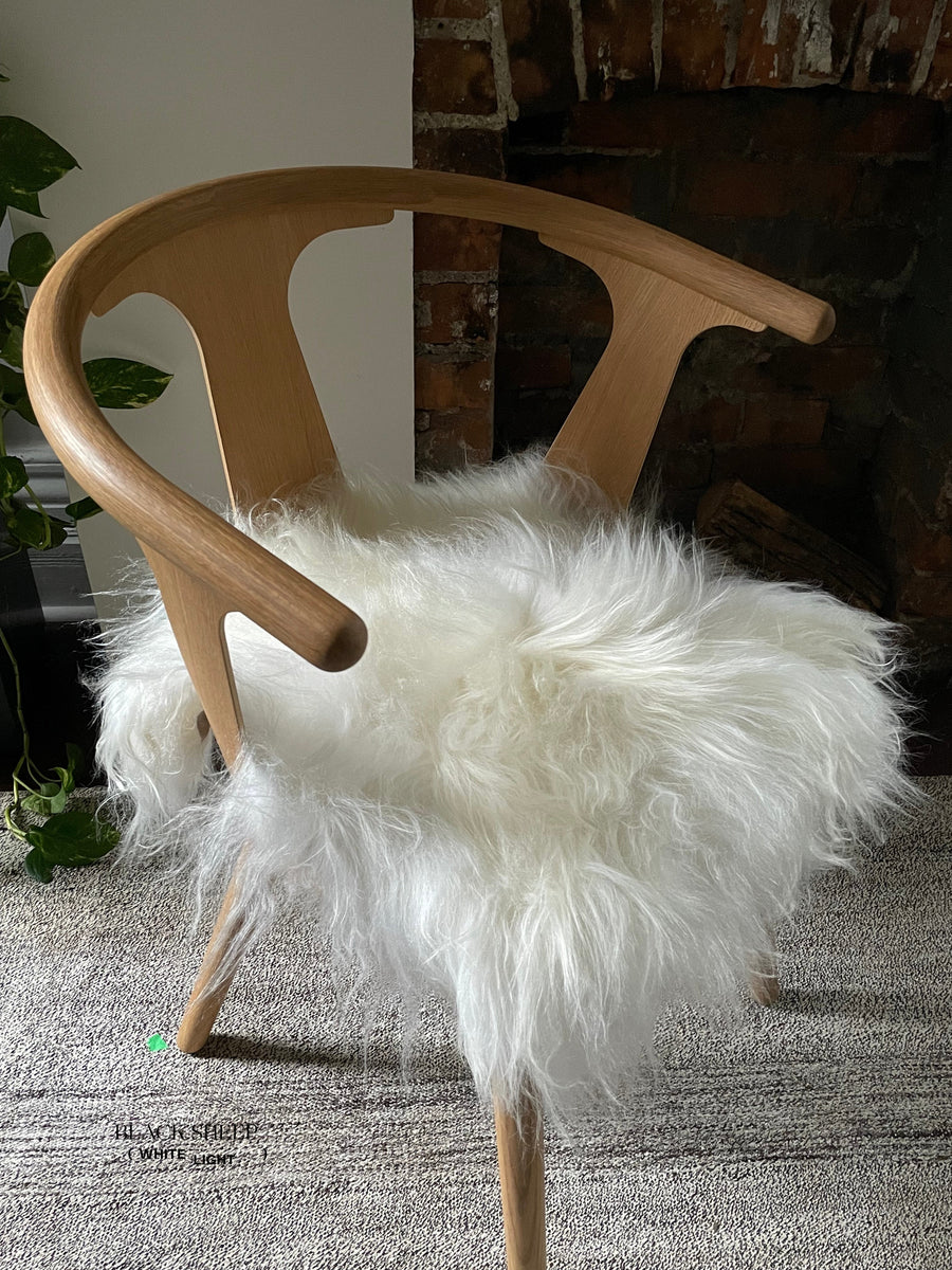 White Icelandic Sheepskin Chair Pad Black Sheep White Light