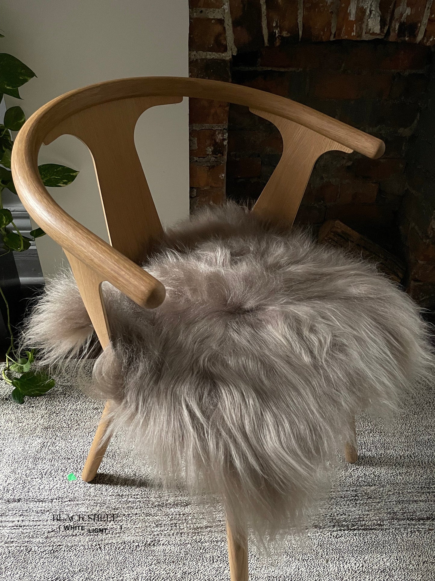 Taupe Icelandic Sheepskin Chair Pad - Black Sheep (White Light)