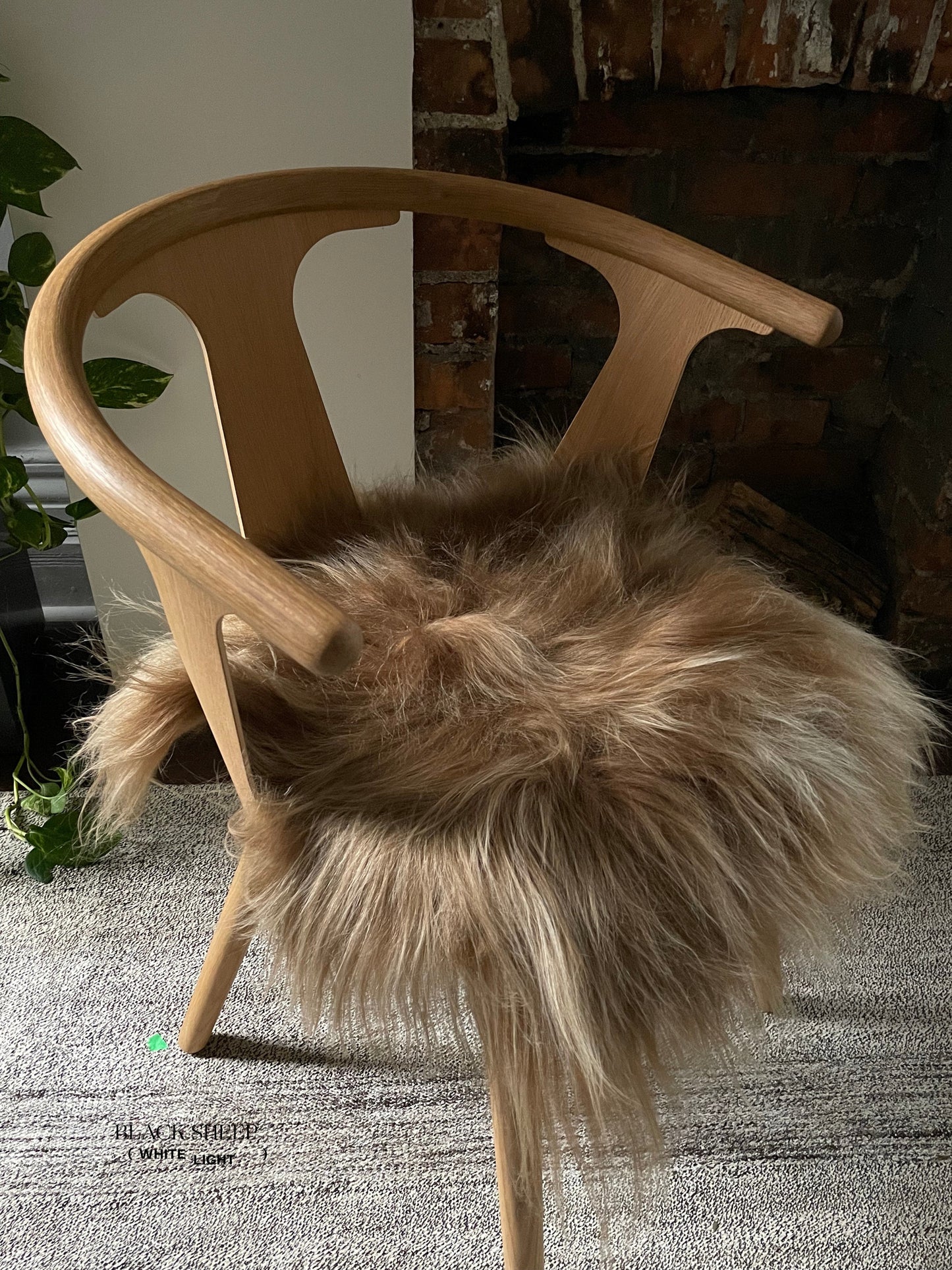 Brown Icelandic Sheepskin Chair Pad - Black Sheep (White Light)