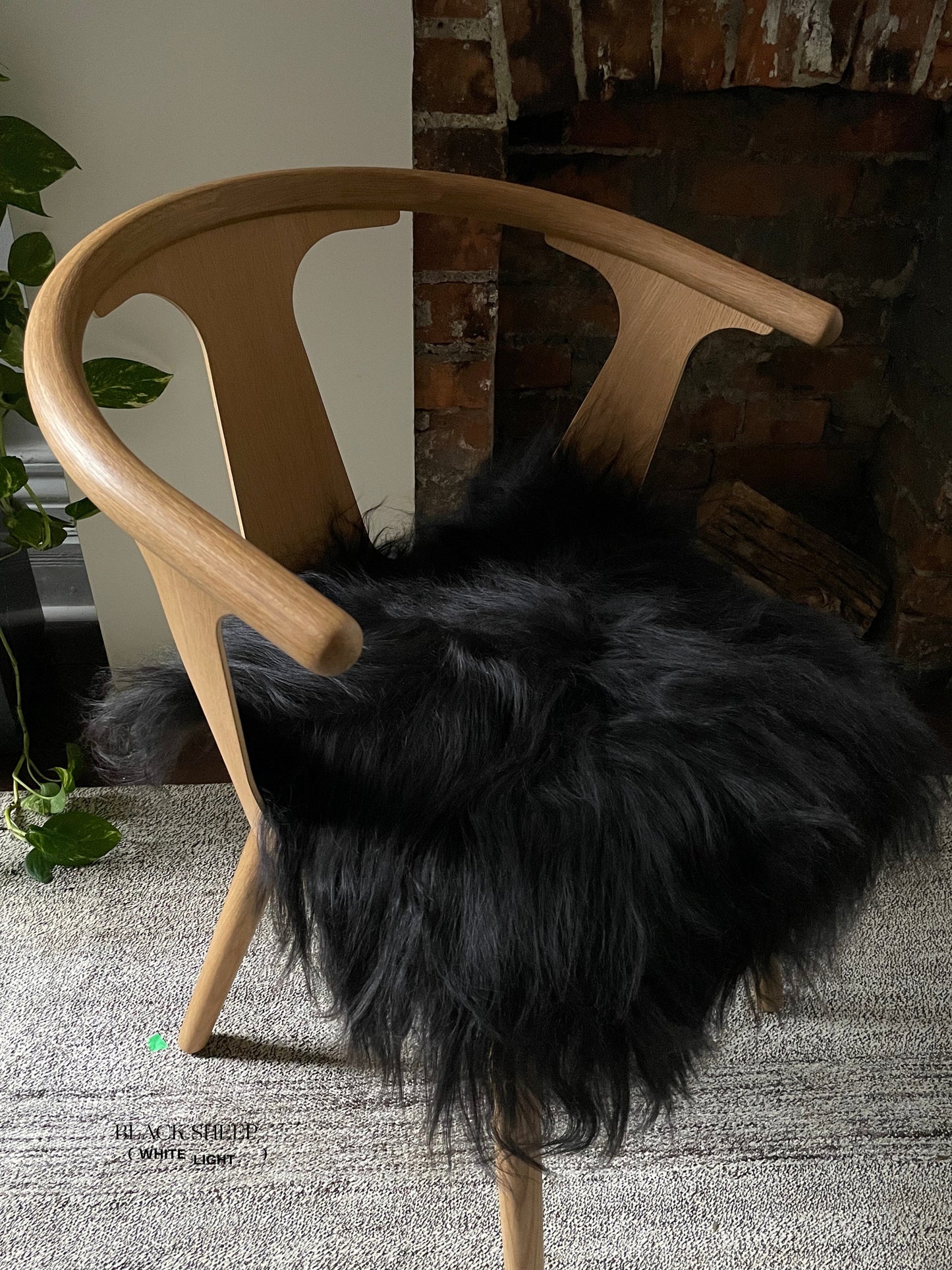 Black Icelandic Sheepskin Chair Pad - Black Sheep (White Light)