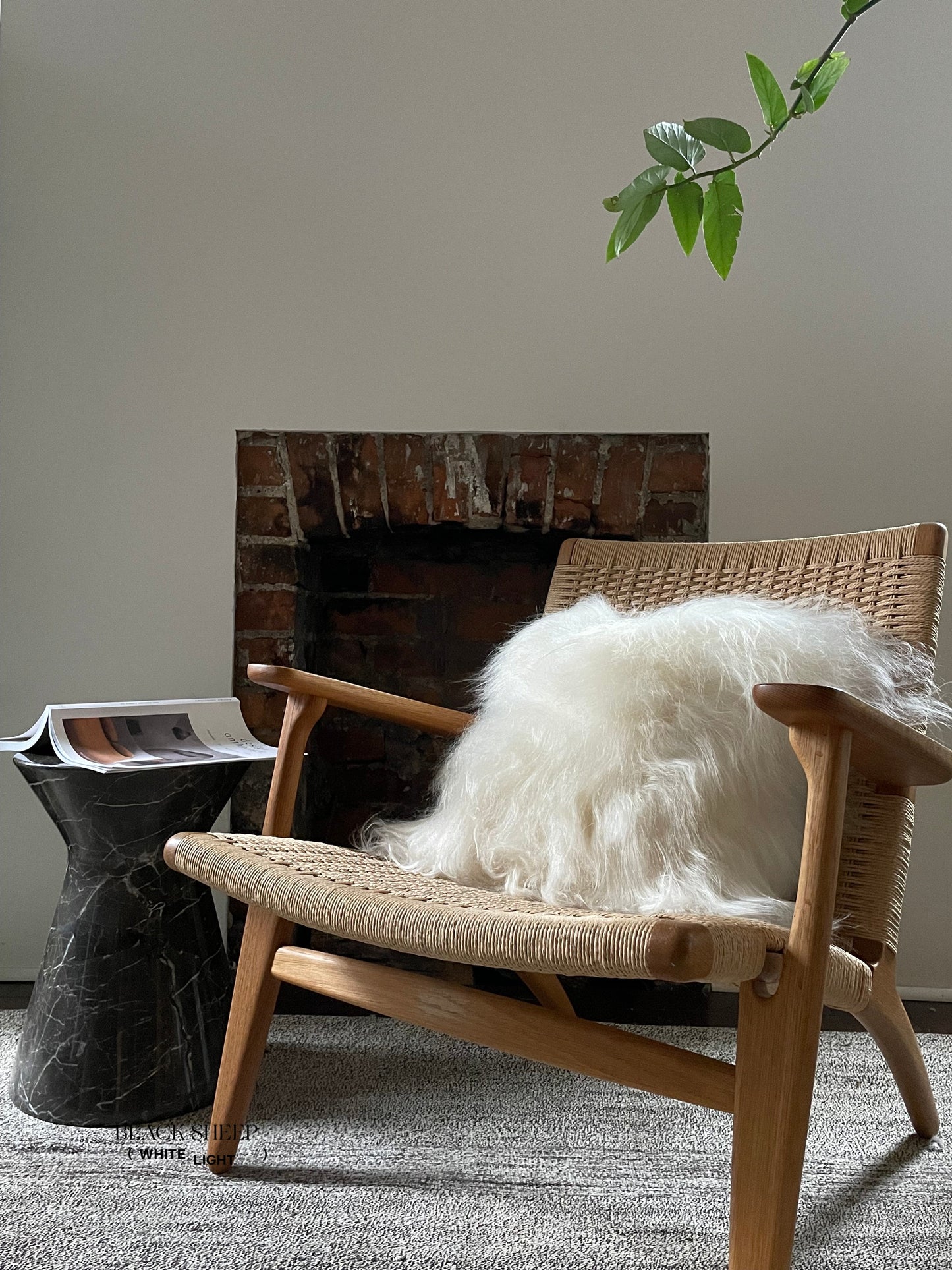 Square White Icelandic Sheepskin Pillow Cover - Black Sheep (White Light)