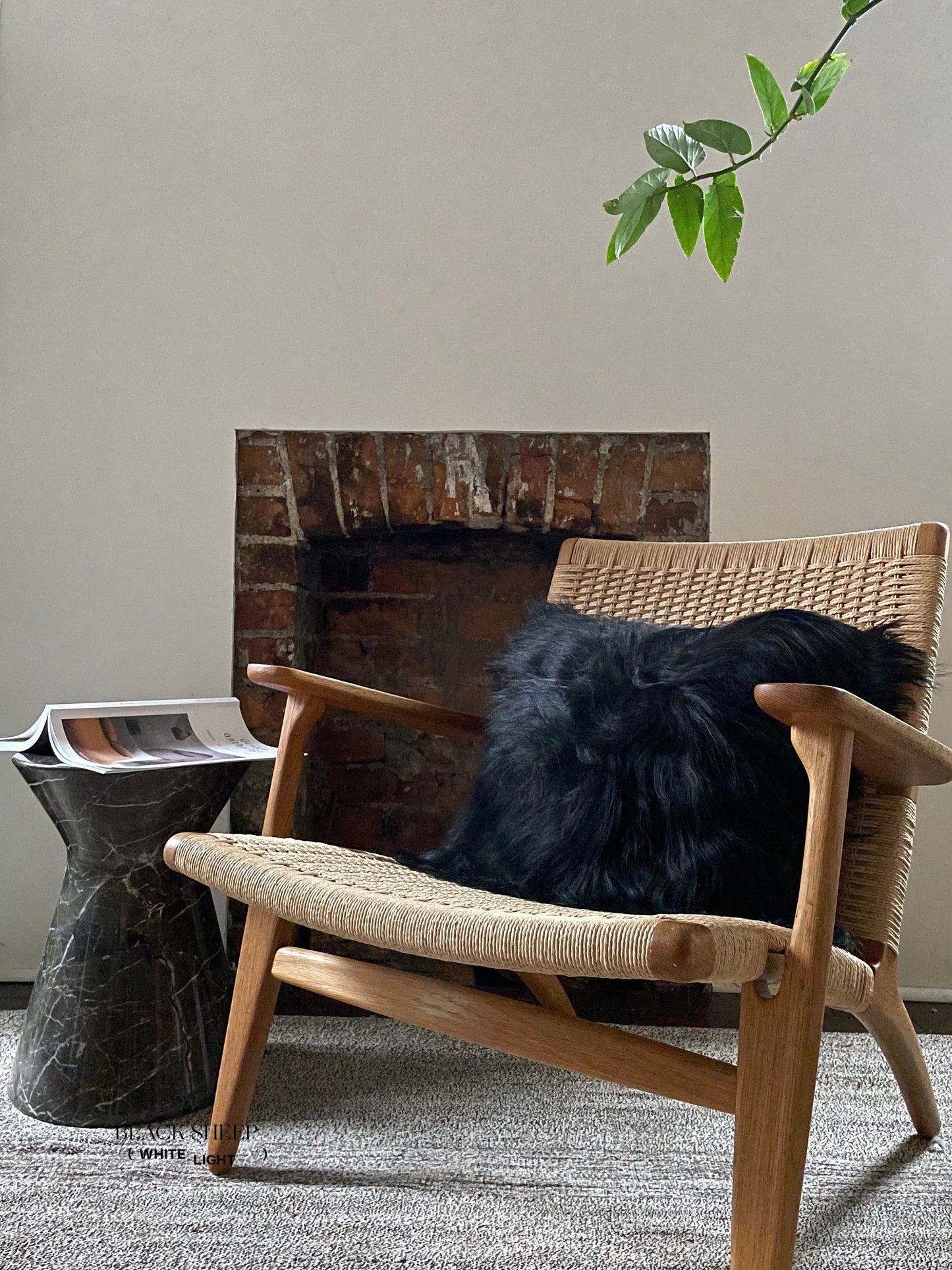 Square Black Icelandic Sheepskin Pillow Cover - Black Sheep (White Light)