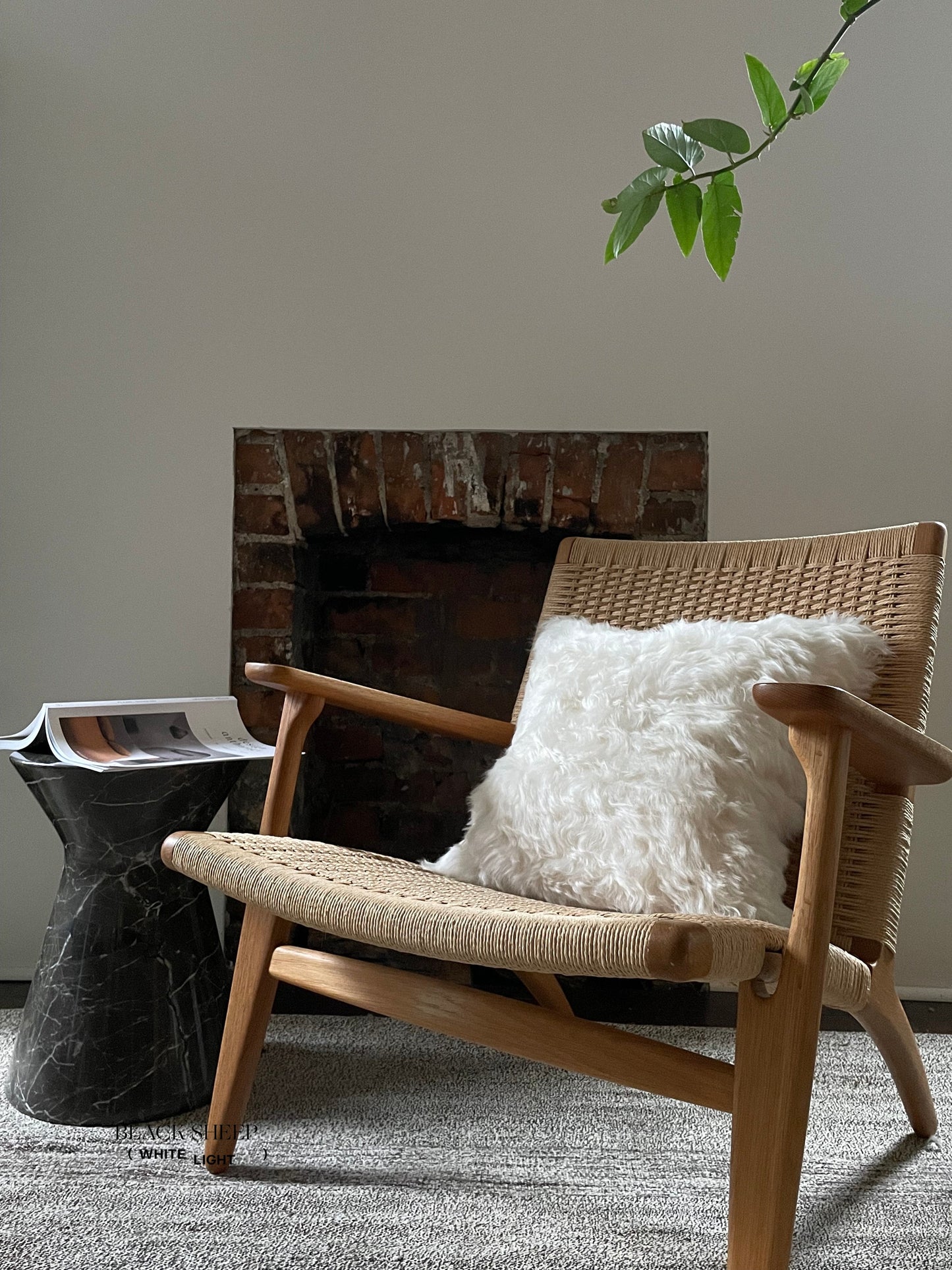 Square Shorn White Icelandic Sheepskin Pillow Cover - Black Sheep (White Light)