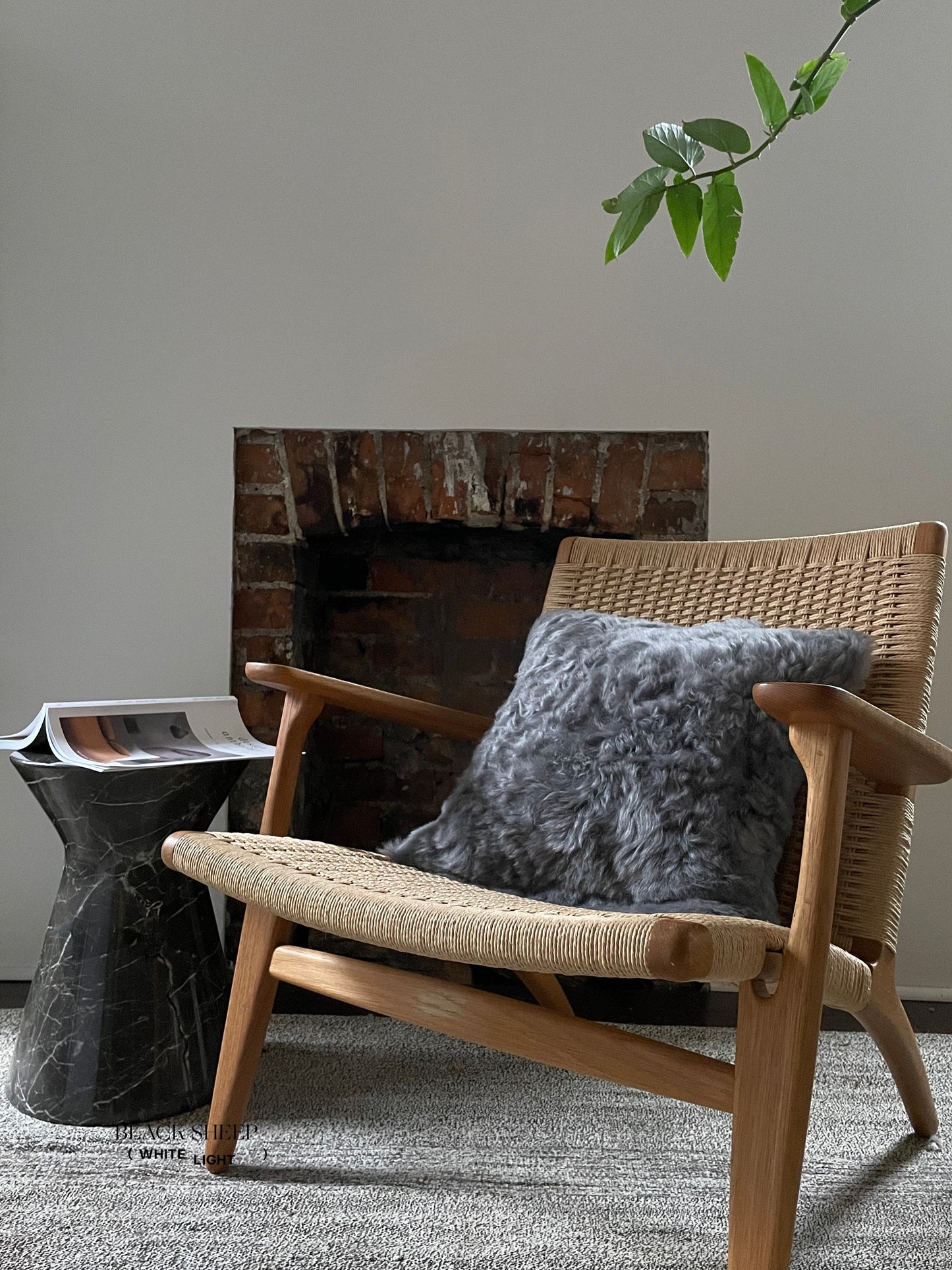 Square Shorn Silver Icelandic Sheepskin Pillow Cover - Black Sheep (White Light)