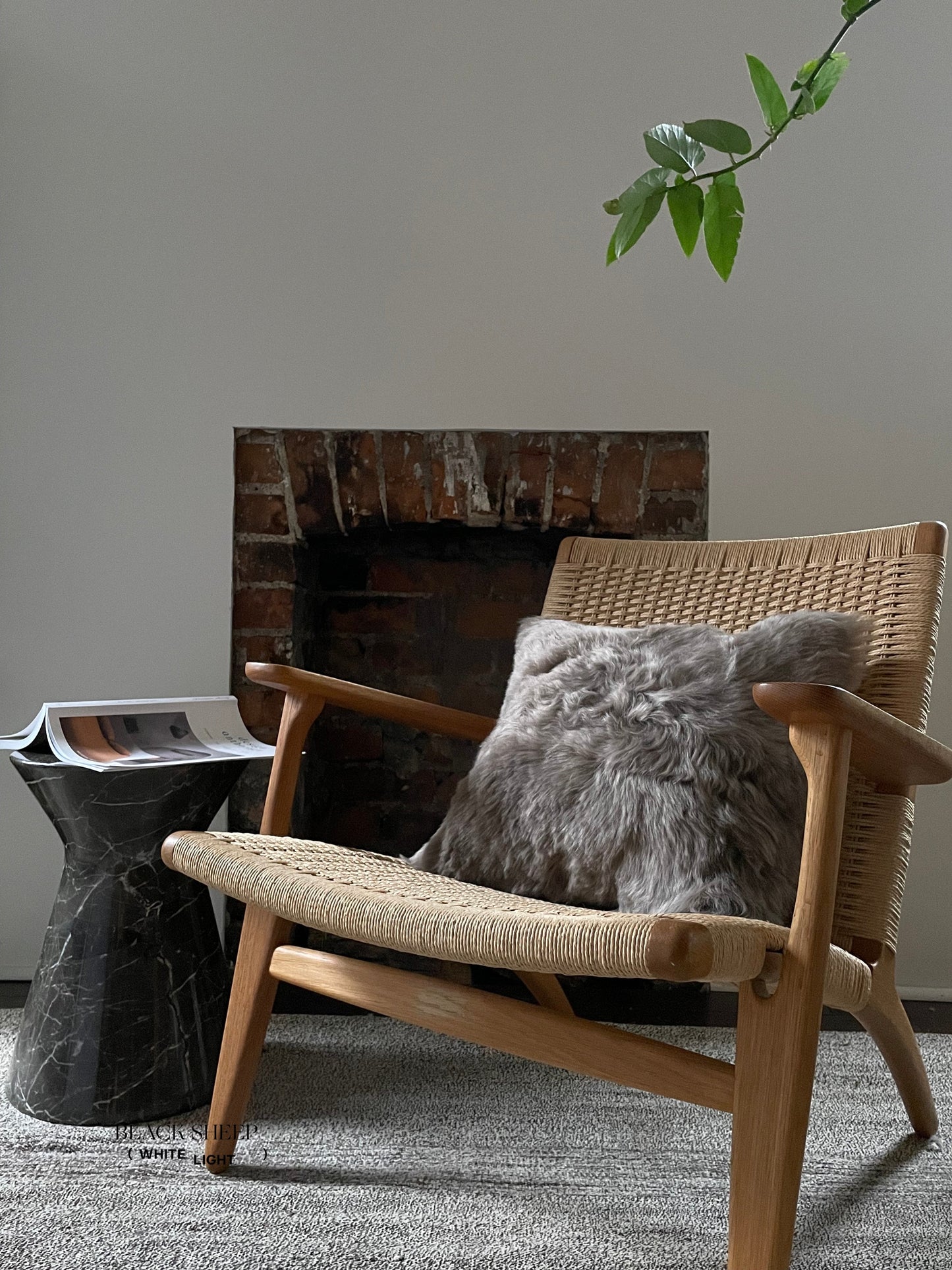Square Shorn Taupe Icelandic Sheepskin Pillow Cover - Black Sheep (White Light)