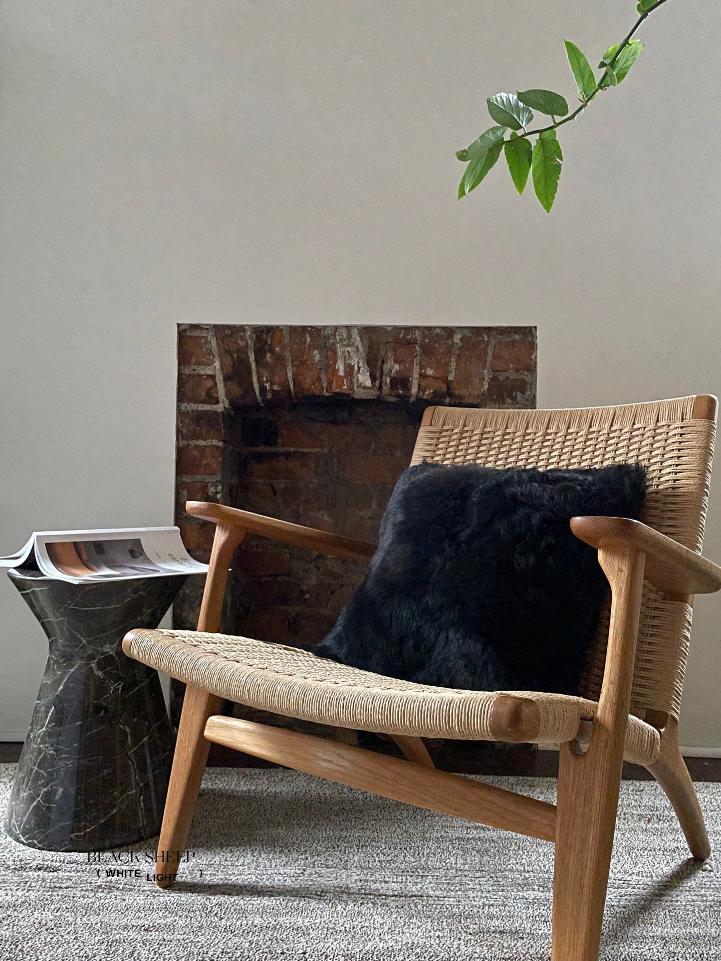 Square Shorn Black Icelandic Sheepskin Pillow Cover - Black Sheep (White Light)