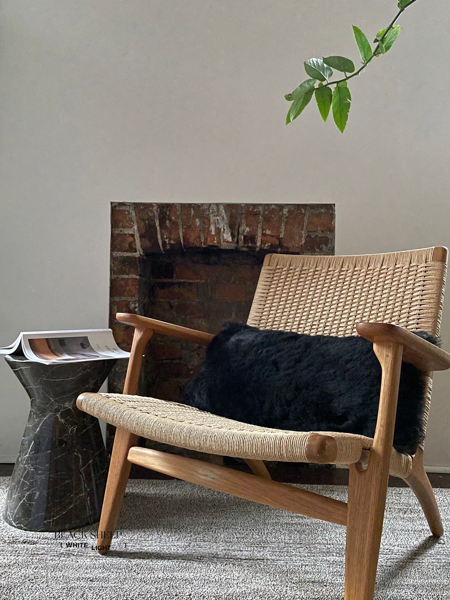 Rectangular Shorn Black Icelandic Sheepskin Pillow Cover - Black Sheep (White Light)