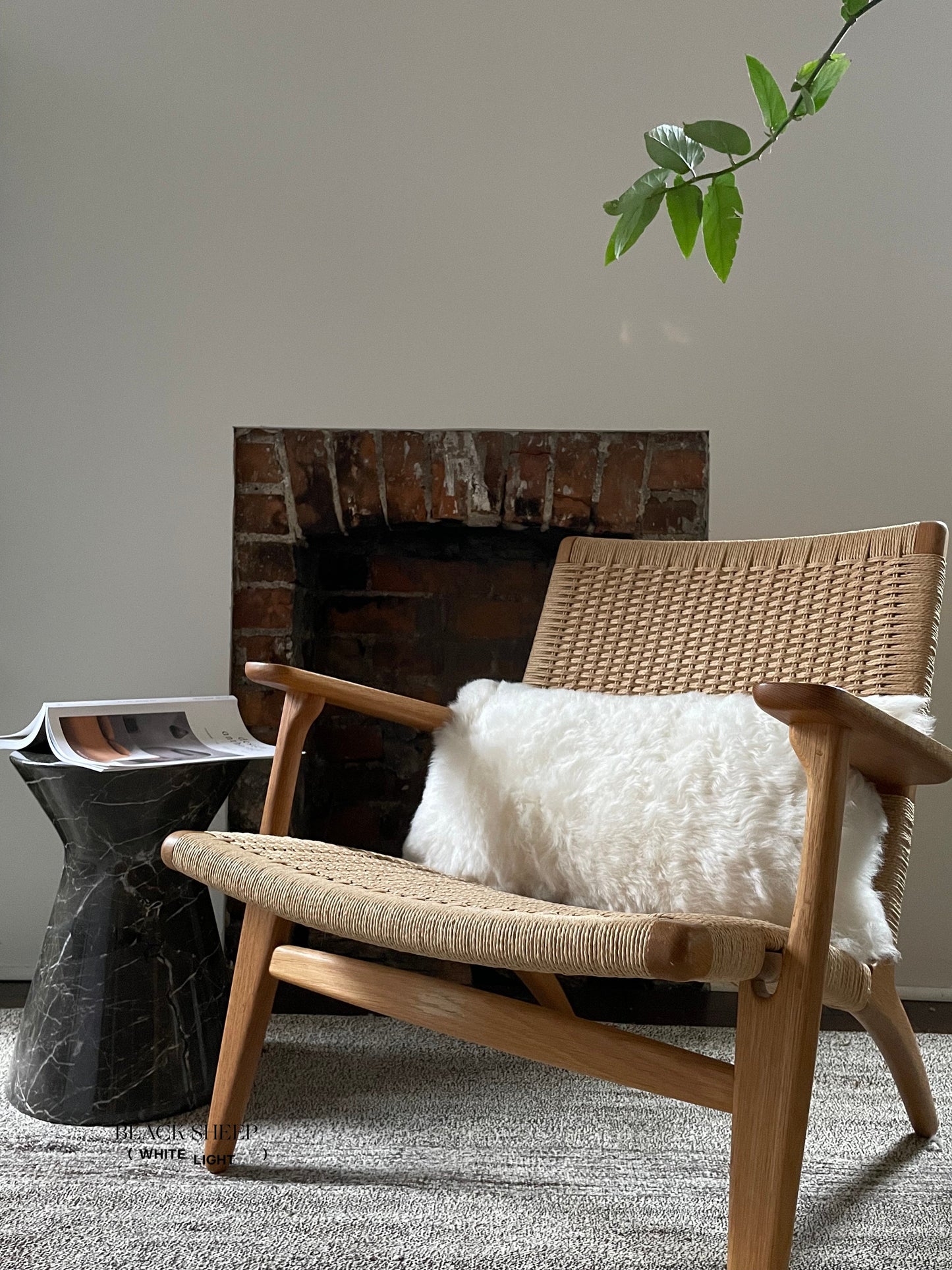 Rectangular Shorn White Icelandic Sheepskin Pillow Cover - Black Sheep (White Light)