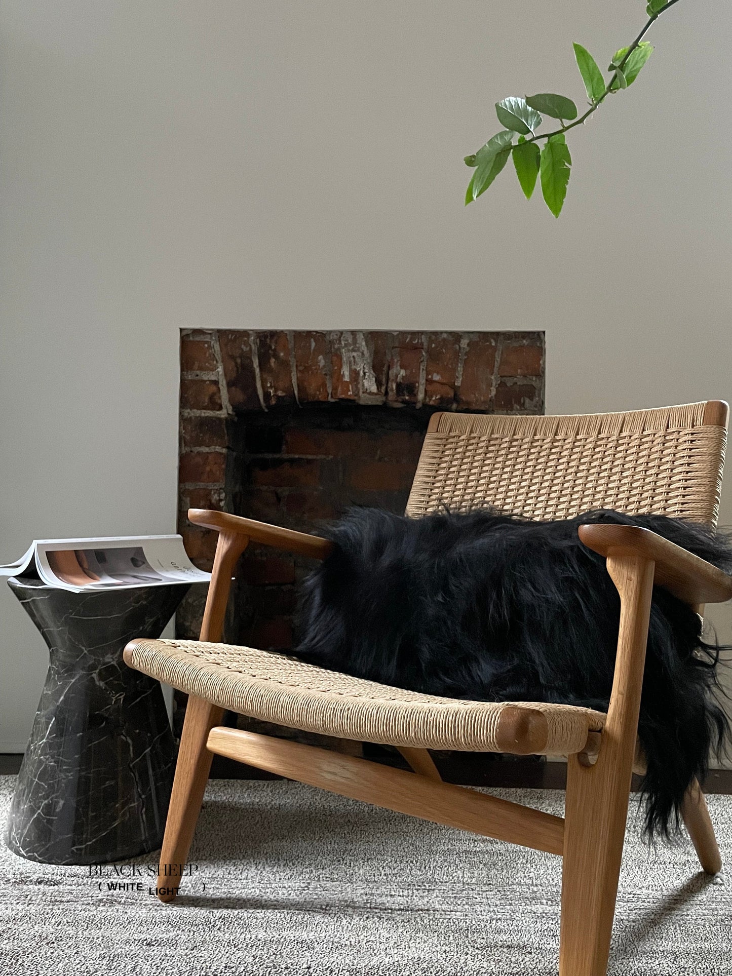 Rectangular Black Icelandic Sheepskin Pillow Cover - Black Sheep (White Light)