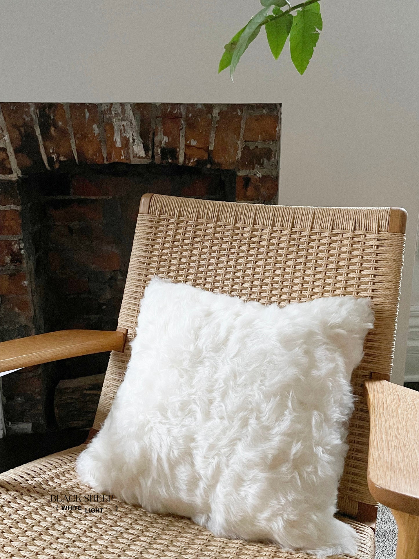 Square Shorn White Icelandic Sheepskin Pillow Cover - Black Sheep (White Light)