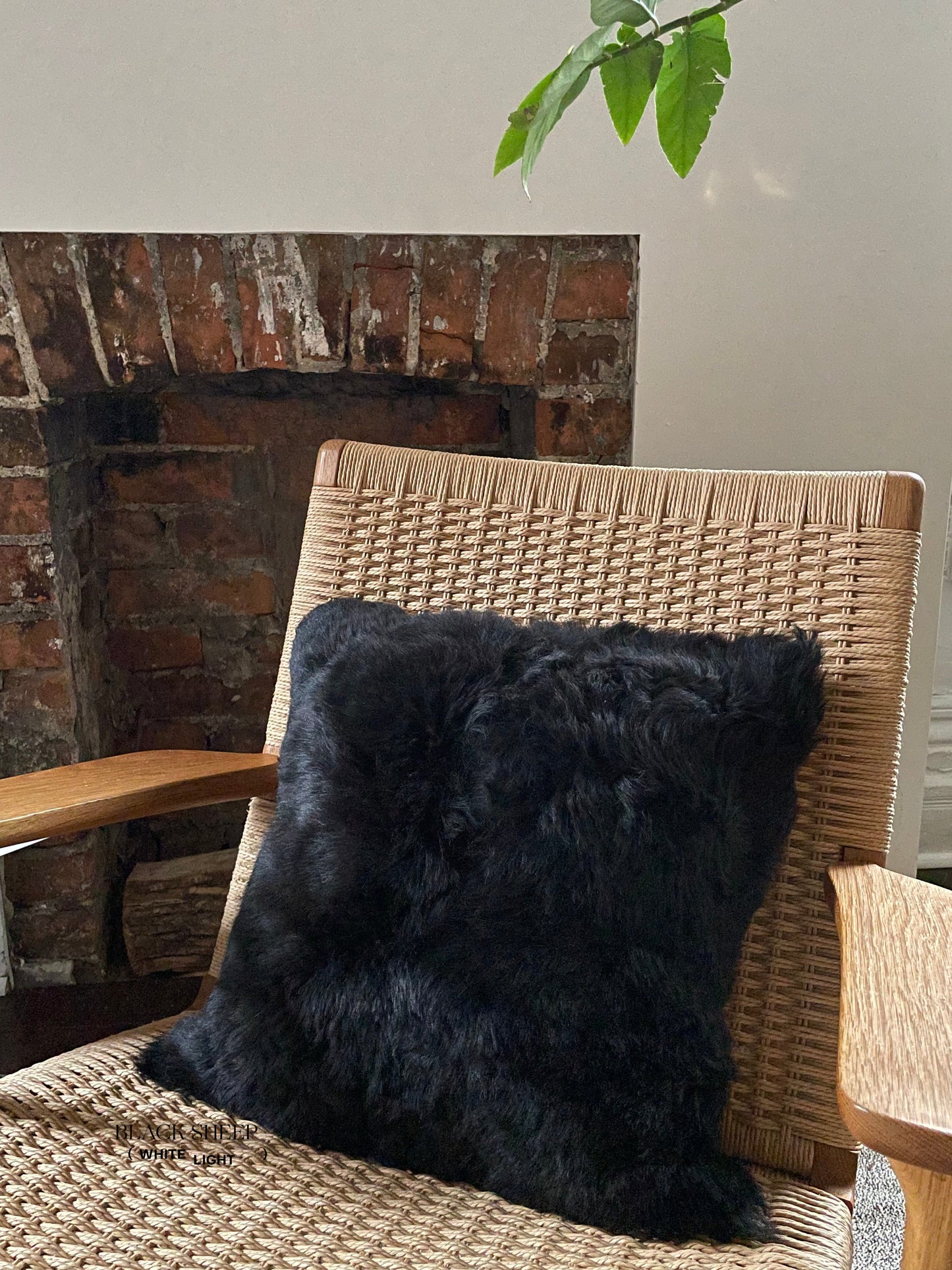 Square Shorn Black Icelandic Sheepskin Pillow Cover - Black Sheep (White Light)