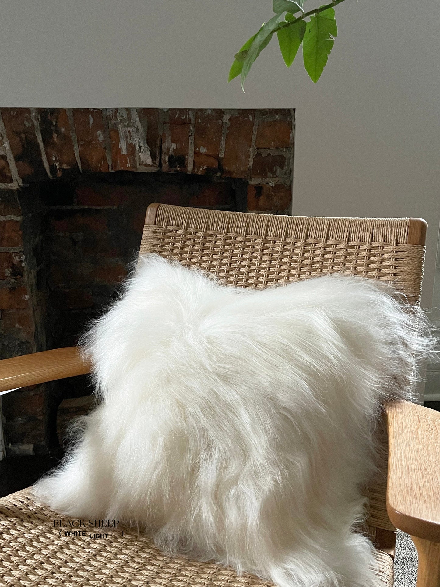 Square White Icelandic Sheepskin Pillow Cover - Black Sheep (White Light)
