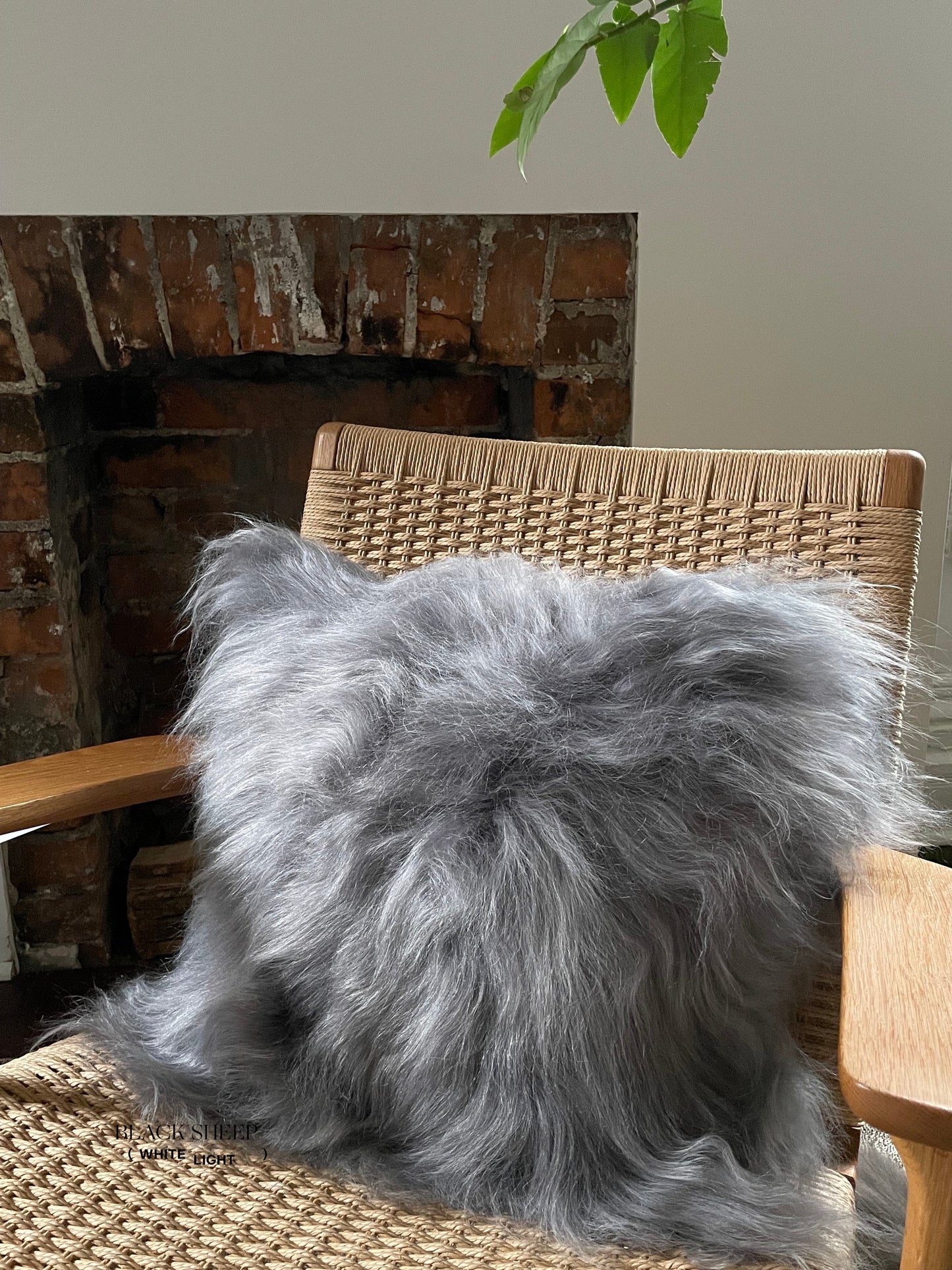 Square Silver Icelandic Sheepskin Pillow Cover - Black Sheep (White Light)