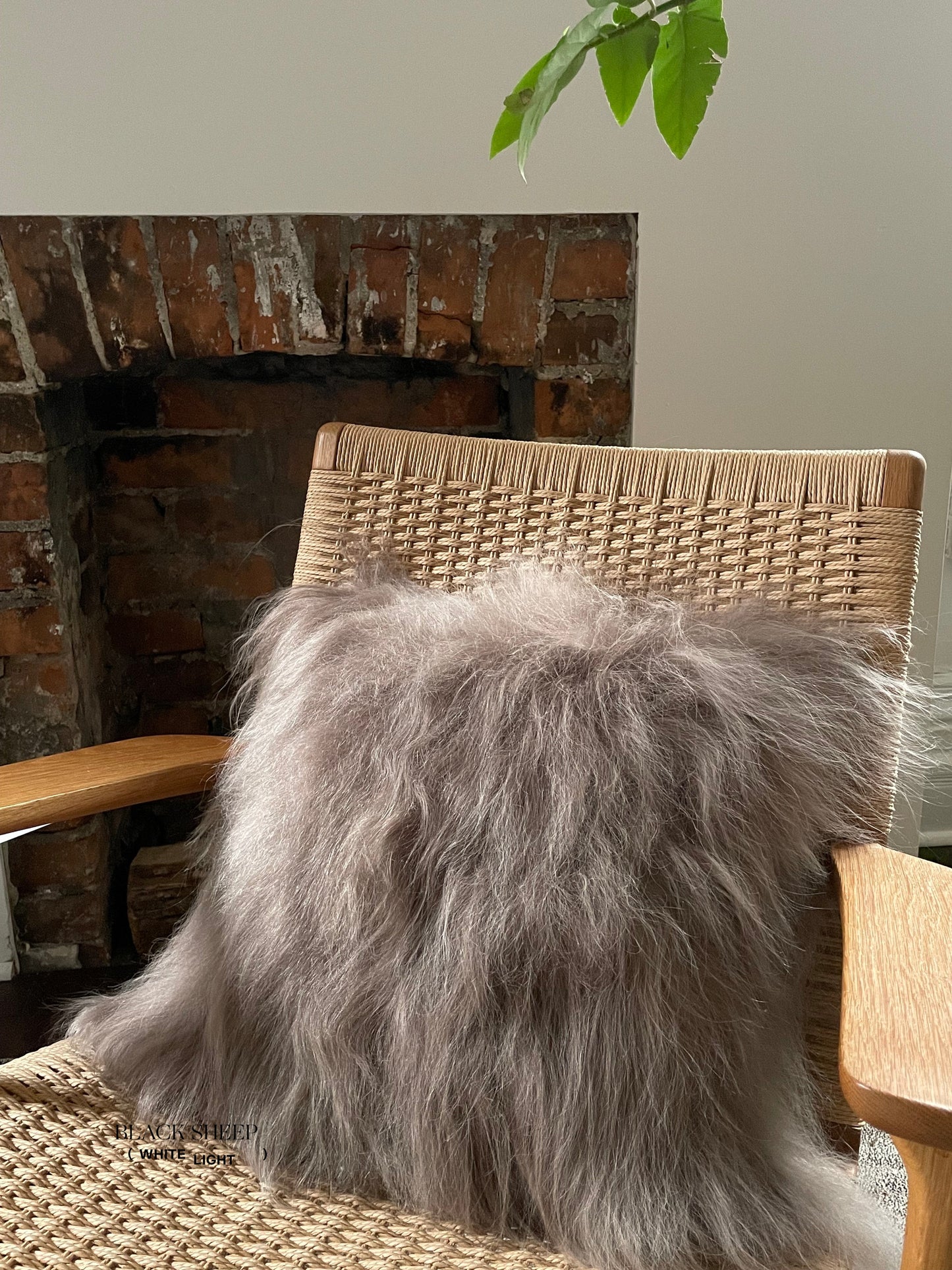 Square Taupe Icelandic Sheepskin Pillow Cover - Black Sheep (White Light)