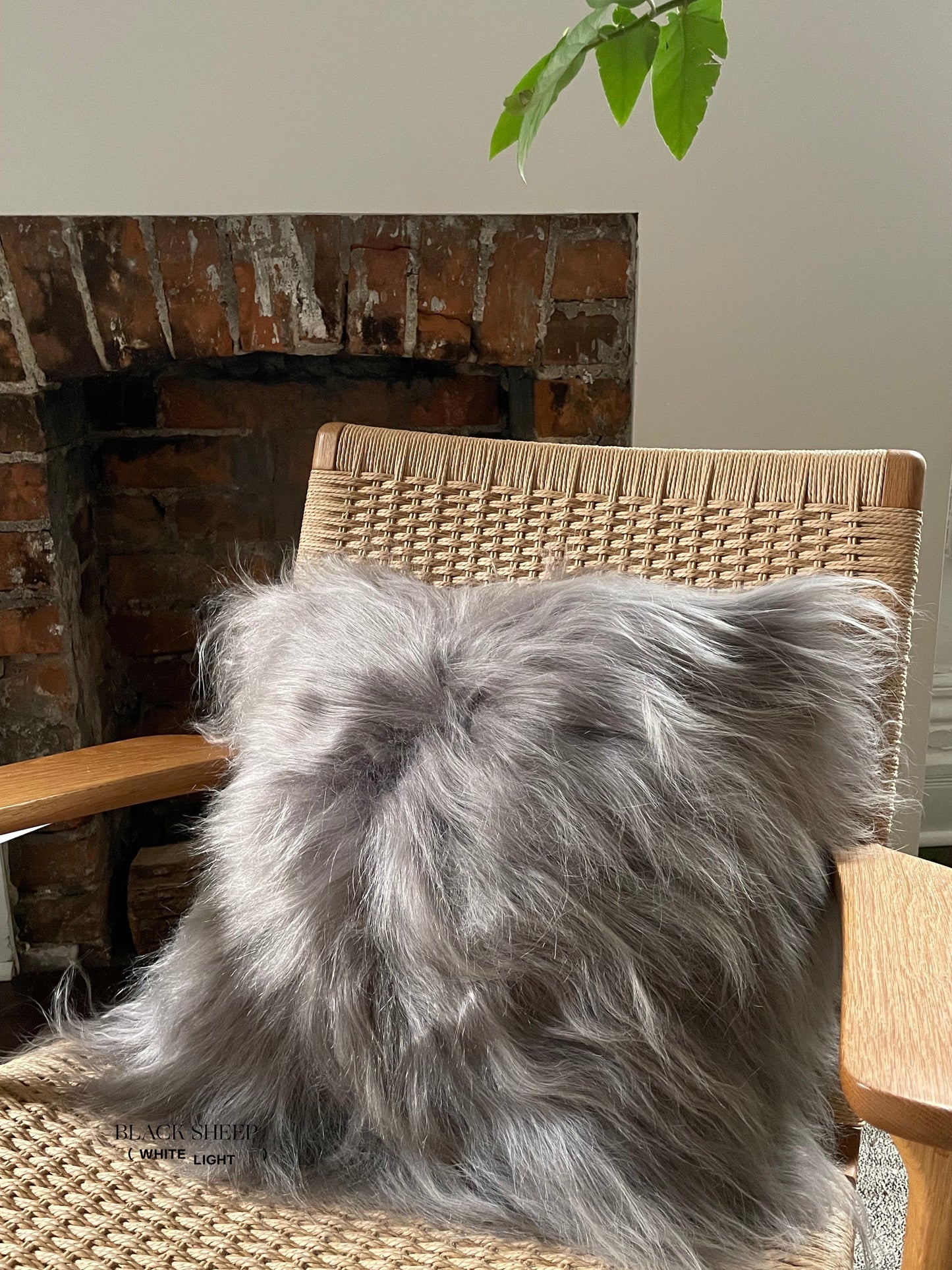 Square Mineral Icelandic Sheepskin Pillow Cover - Black Sheep (White Light)