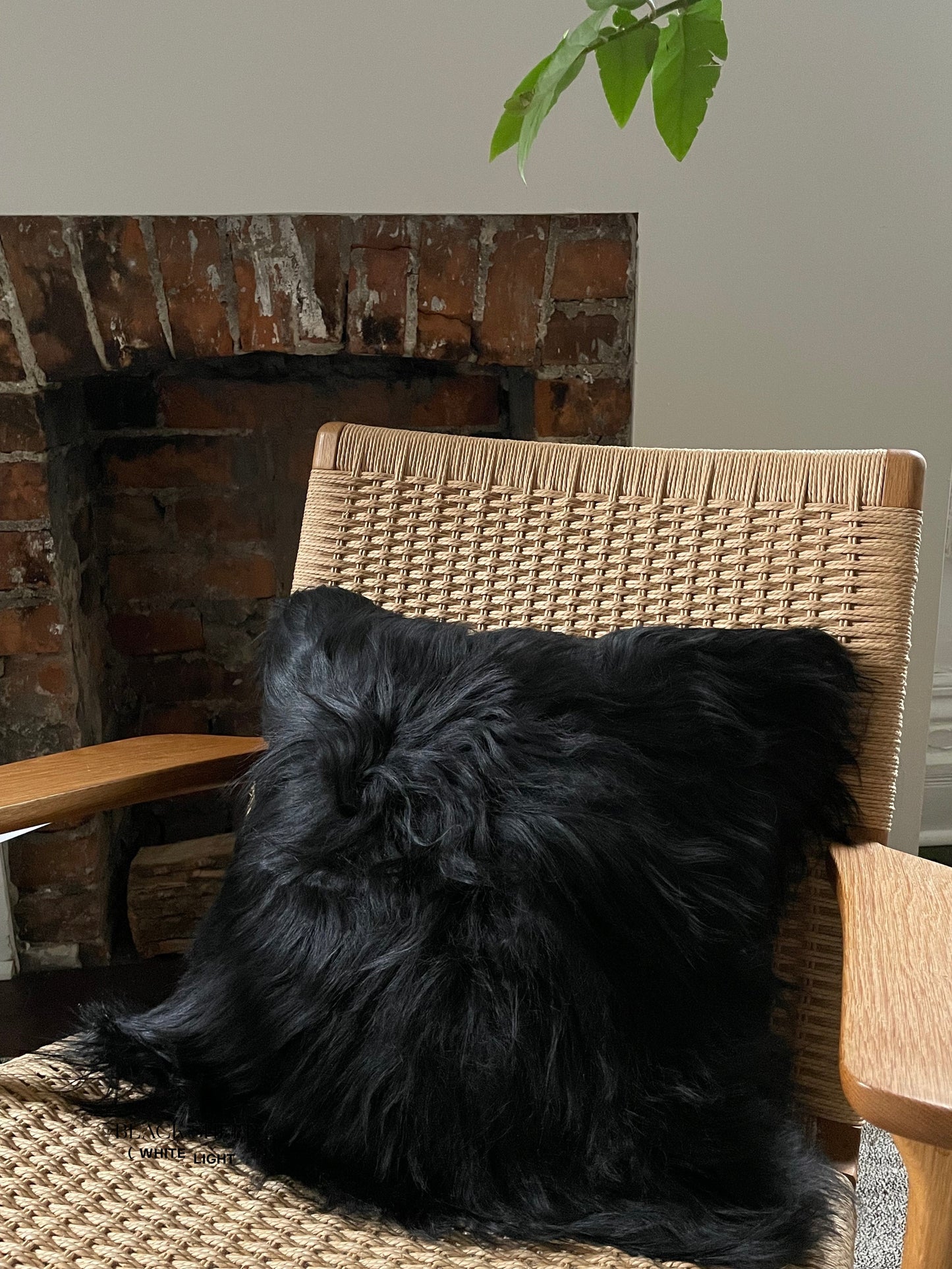 Square Black Icelandic Sheepskin Pillow Cover - Black Sheep (White Light)