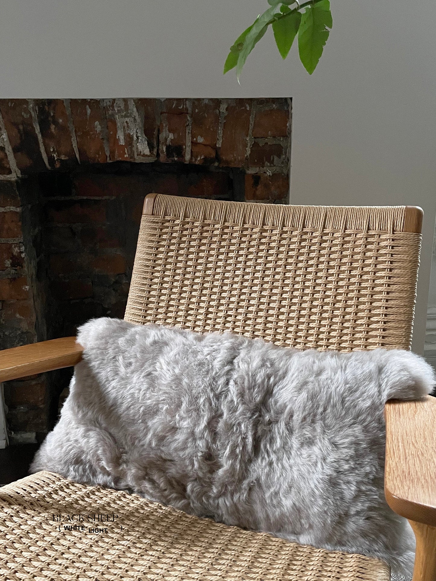 Rectangular Shorn Linen Icelandic Sheepskin Pillow Cover - Black Sheep (White Light)