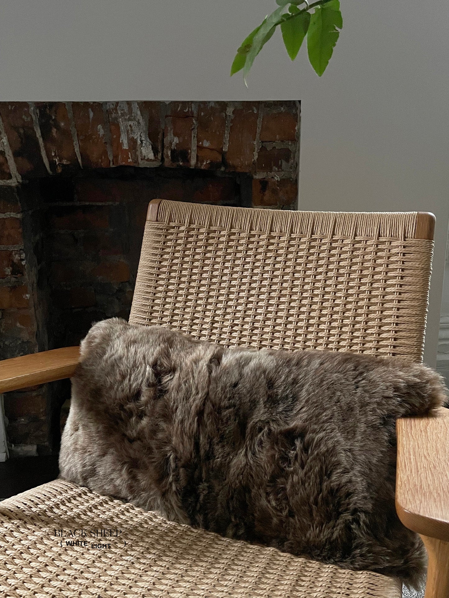Rectangular Shorn Brown Icelandic Sheepskin Pillow Cover - Black Sheep (White Light)