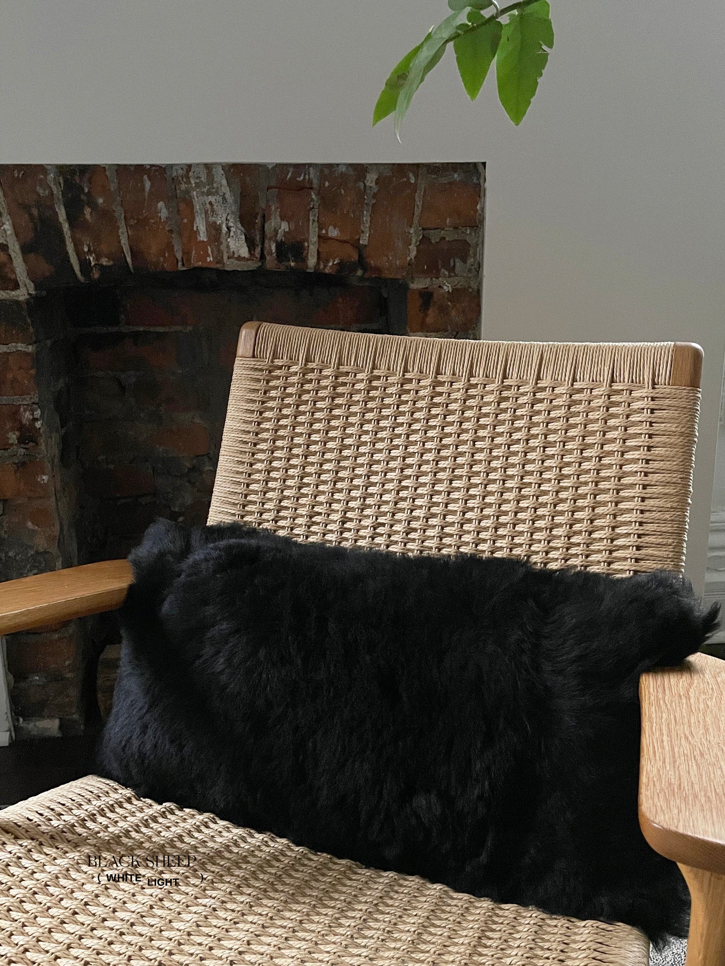 Rectangular Shorn Black Icelandic Sheepskin Pillow Cover - Black Sheep (White Light)