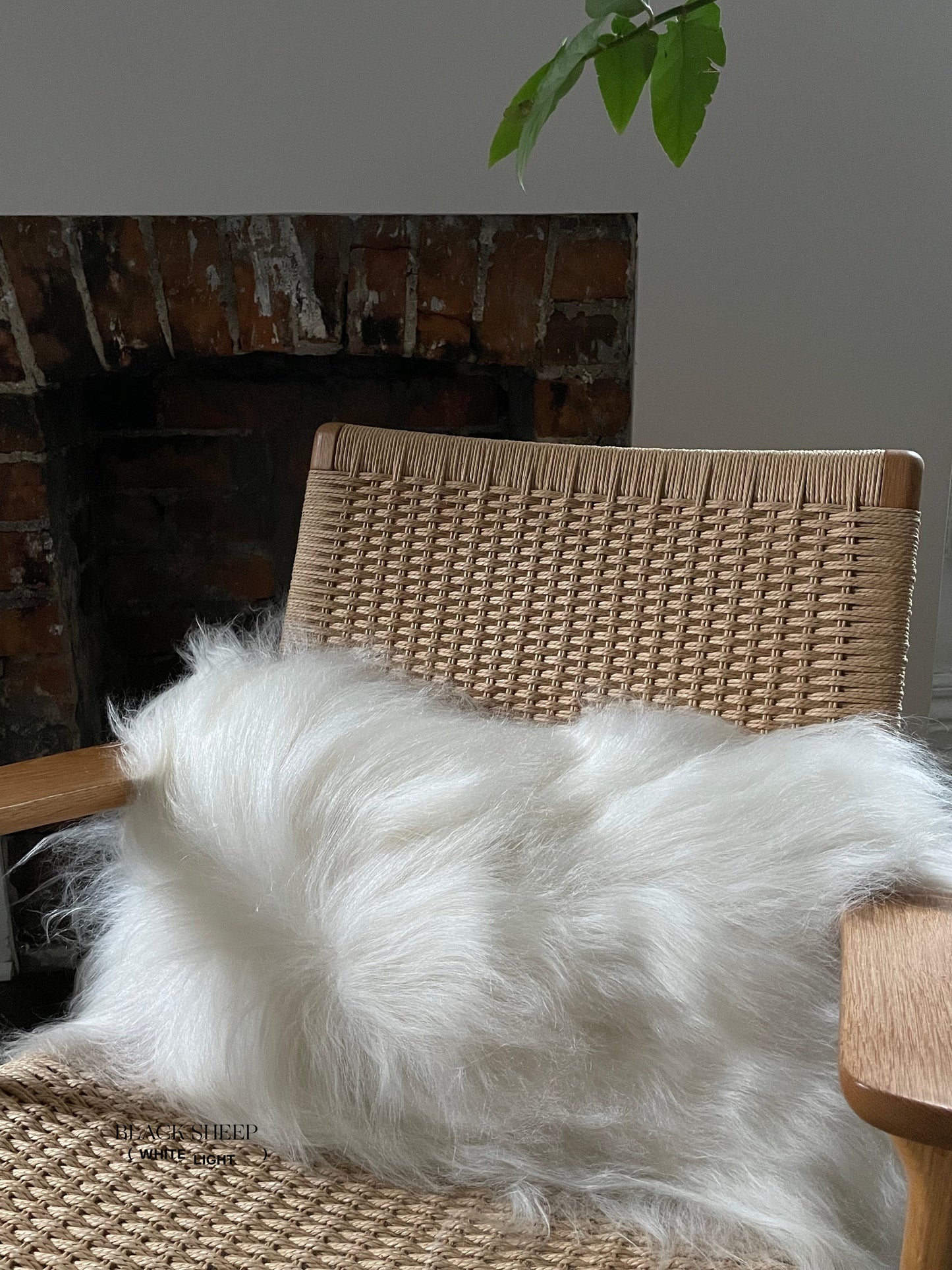 Rectangular White Icelandic Sheepskin Pillow Cover - Black Sheep (White Light)