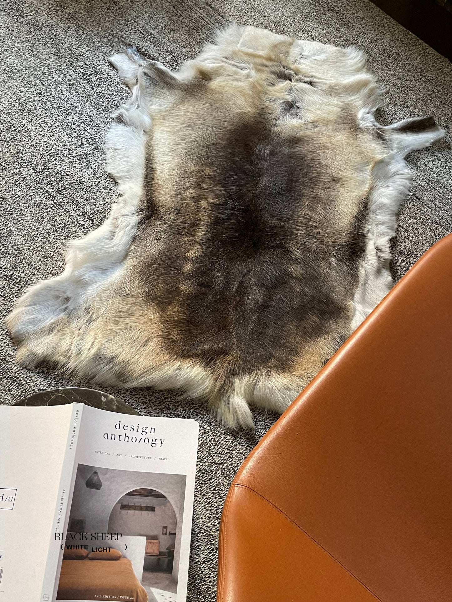 Dark Sami Reindeer Hide - Black Sheep (White Light)