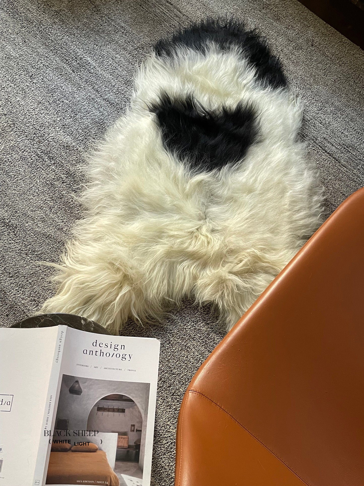 Black Spotted Icelandic Sheepskin | Random - Black Sheep (White Light)