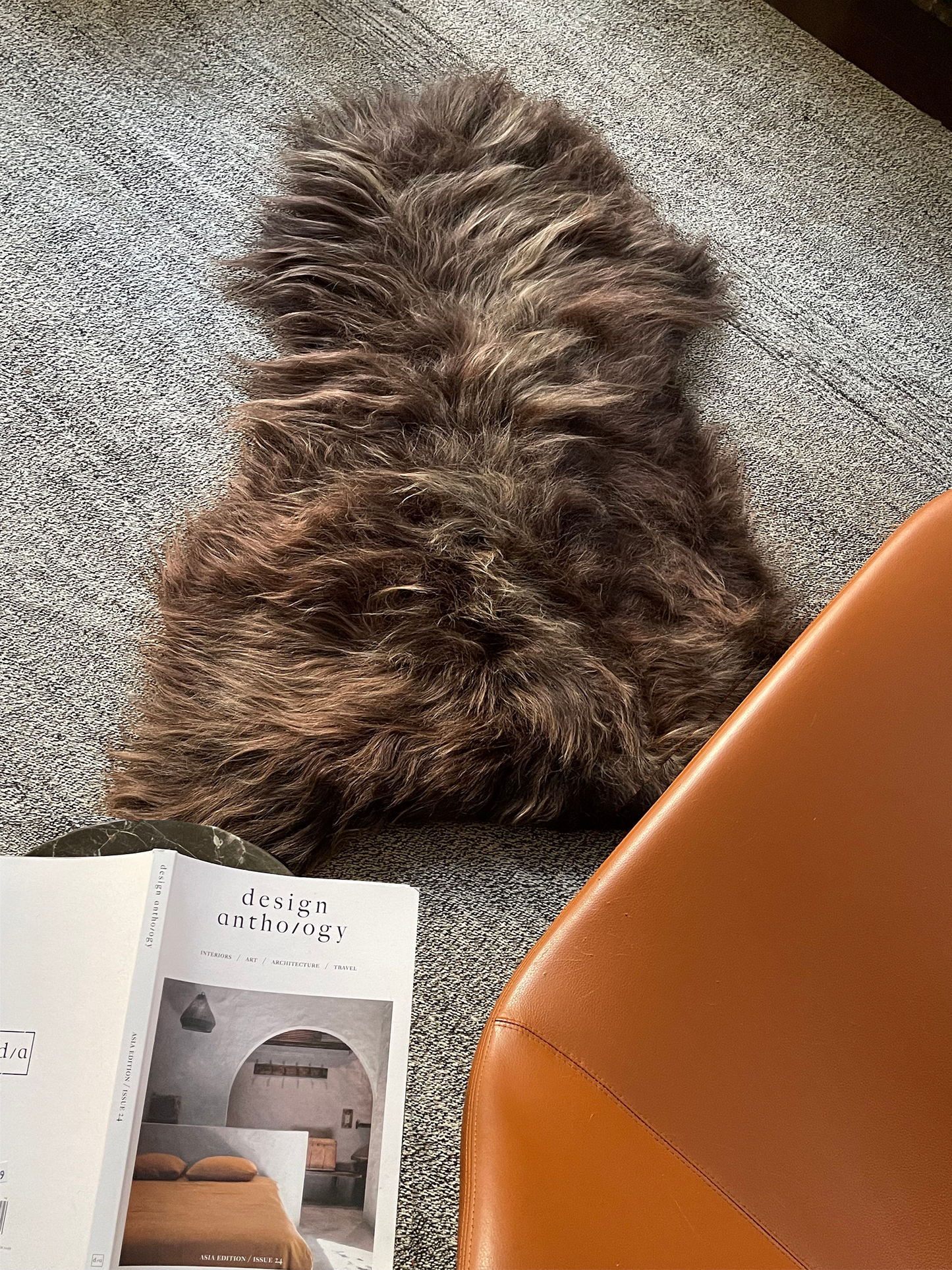 Dark Brown Icelandic Sheepskin - Black Sheep (White Light)