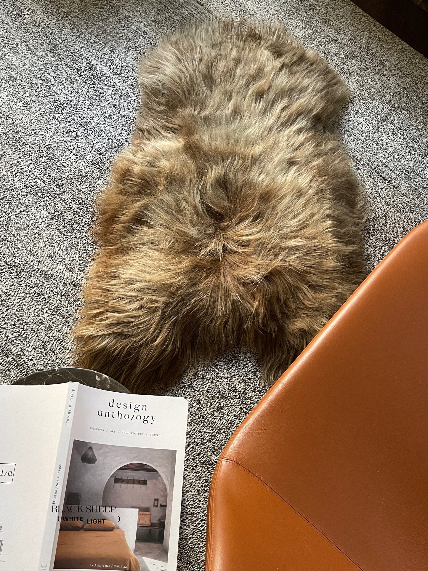 Light Brown Icelandic Sheepskin - Black Sheep (White Light)