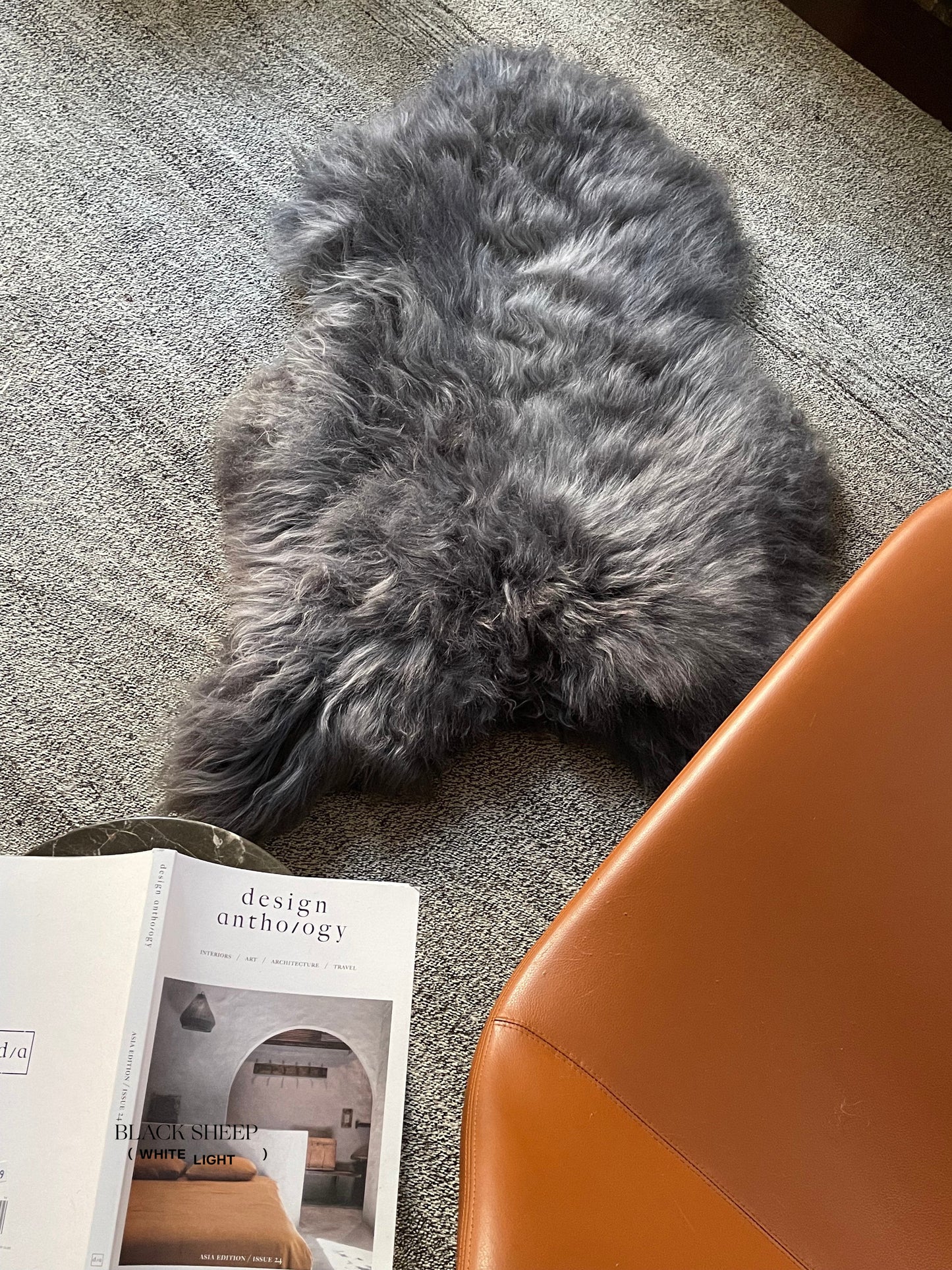 Silver Icelandic Sheepskin - Black Sheep (White Light)