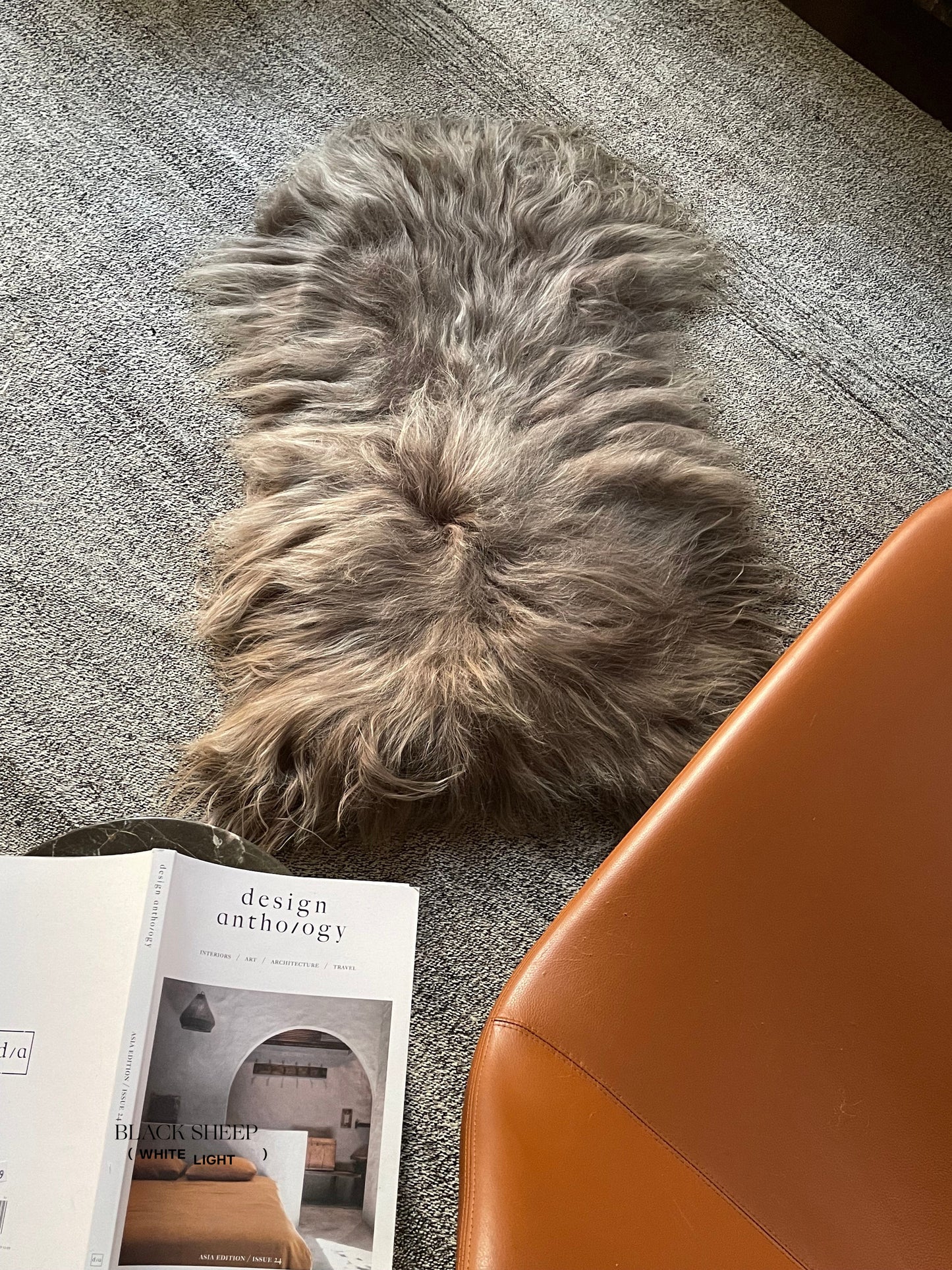 Taupe Icelandic Sheepskin - Black Sheep (White Light)