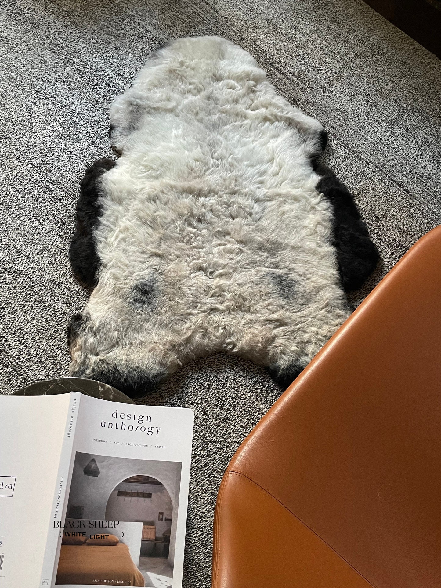 Shorn Grey Icelandic Sheepskin - Black Sheep (White Light)