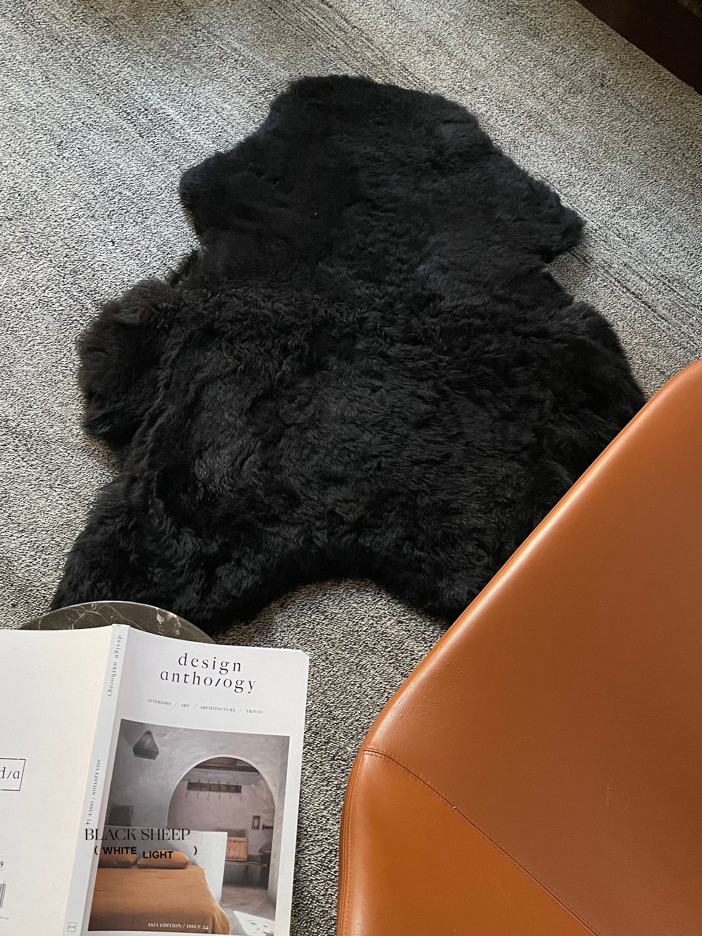 Shorn Black Icelandic Sheepskin - Black Sheep (White Light)