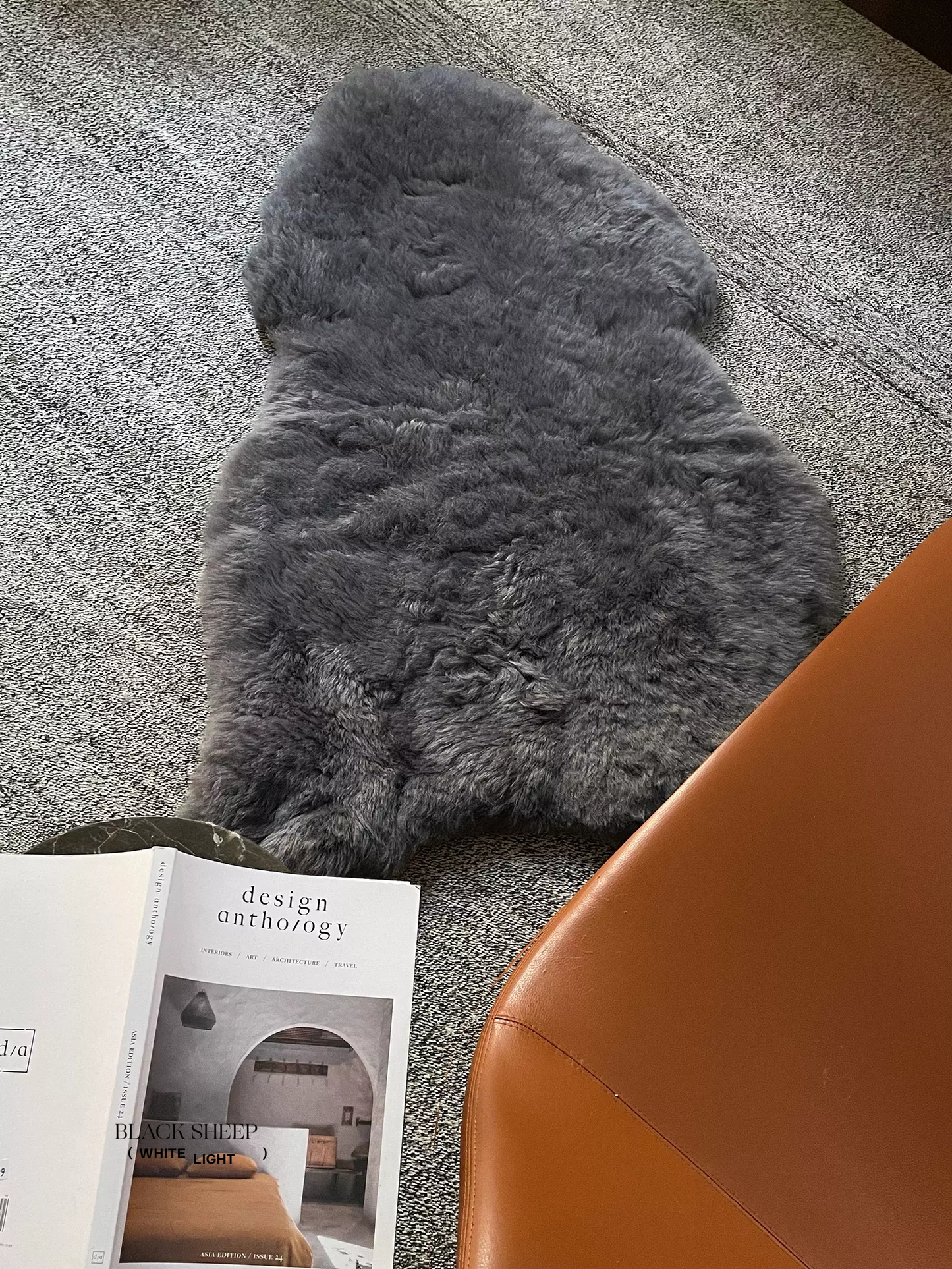 Shorn Silver Icelandic Sheepskin - Black Sheep (White Light)