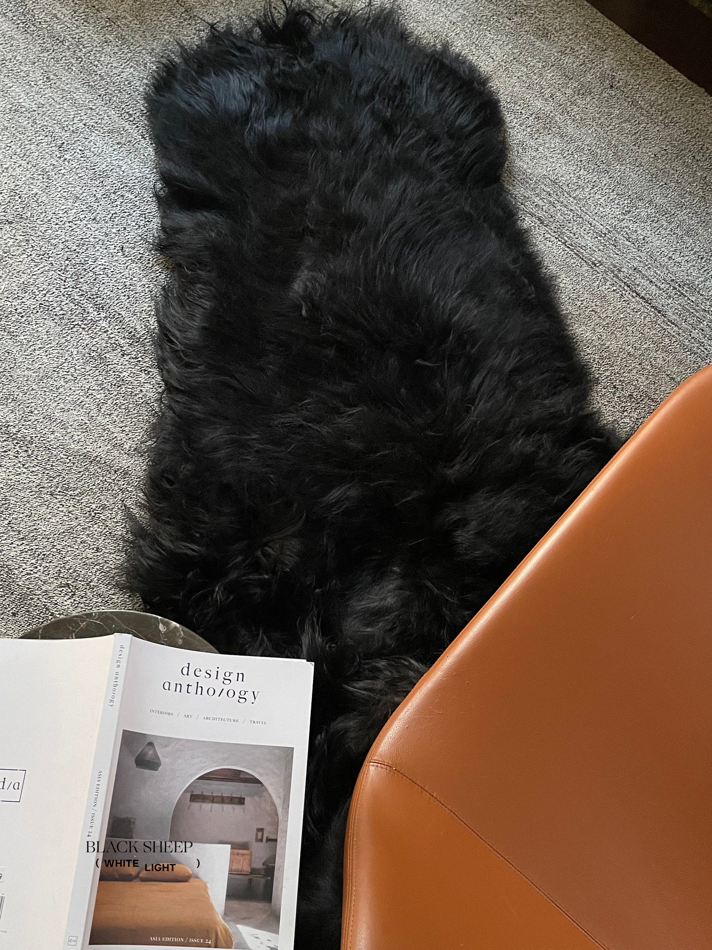 Black Double Icelandic Sheepskin - Black Sheep (White Light)