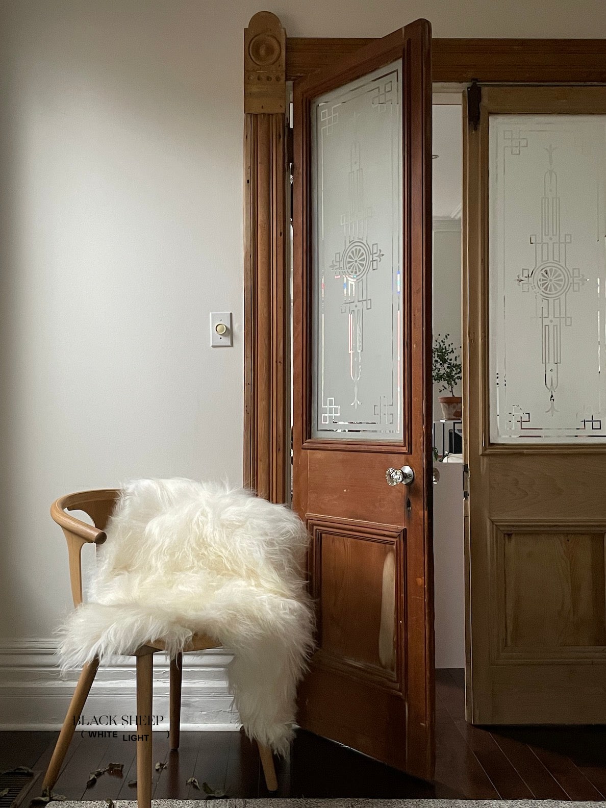 White Icelandic Sheepskin - Black Sheep (White Light)