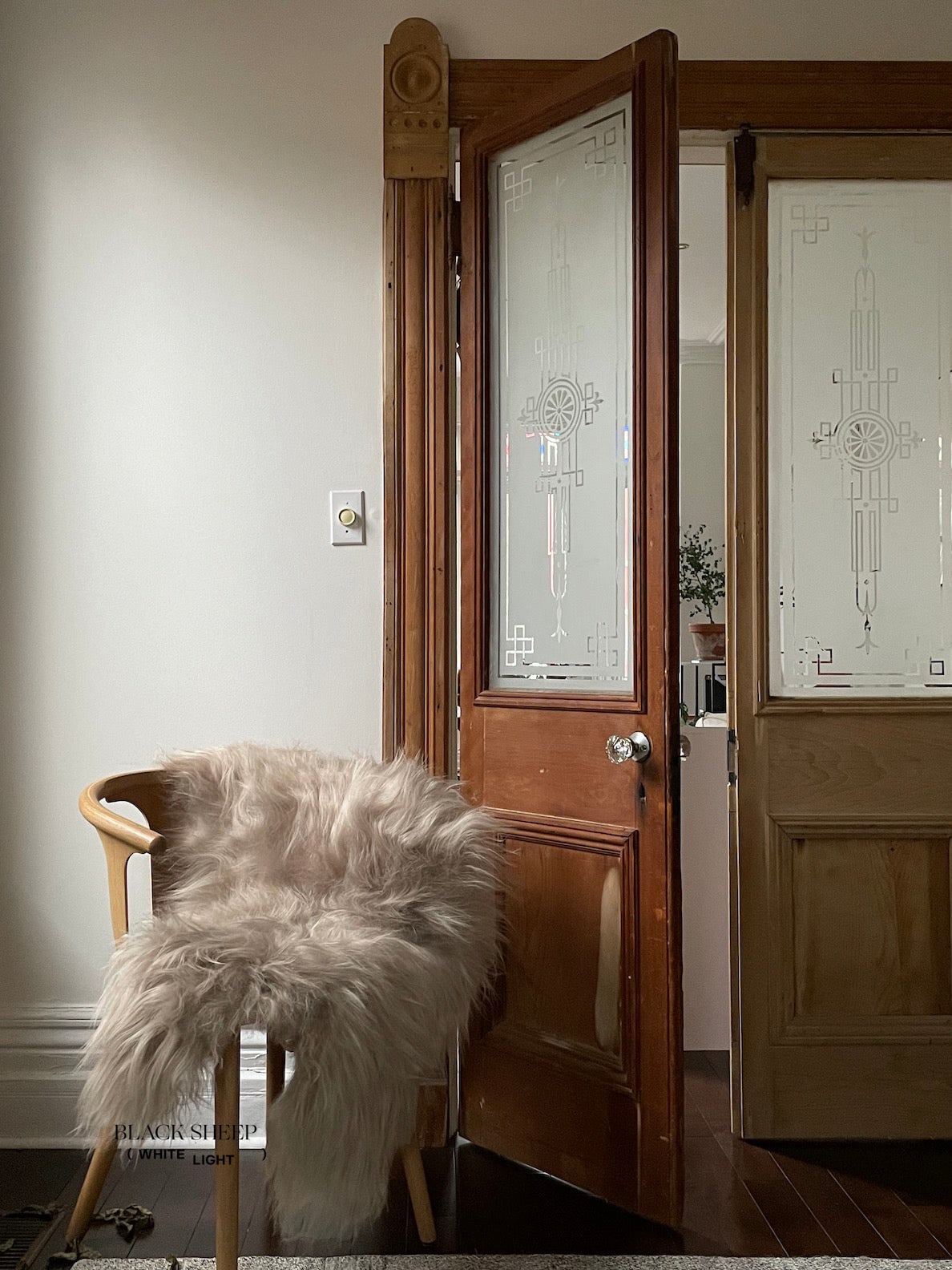Nude Icelandic Sheepskin - Black Sheep (White Light)