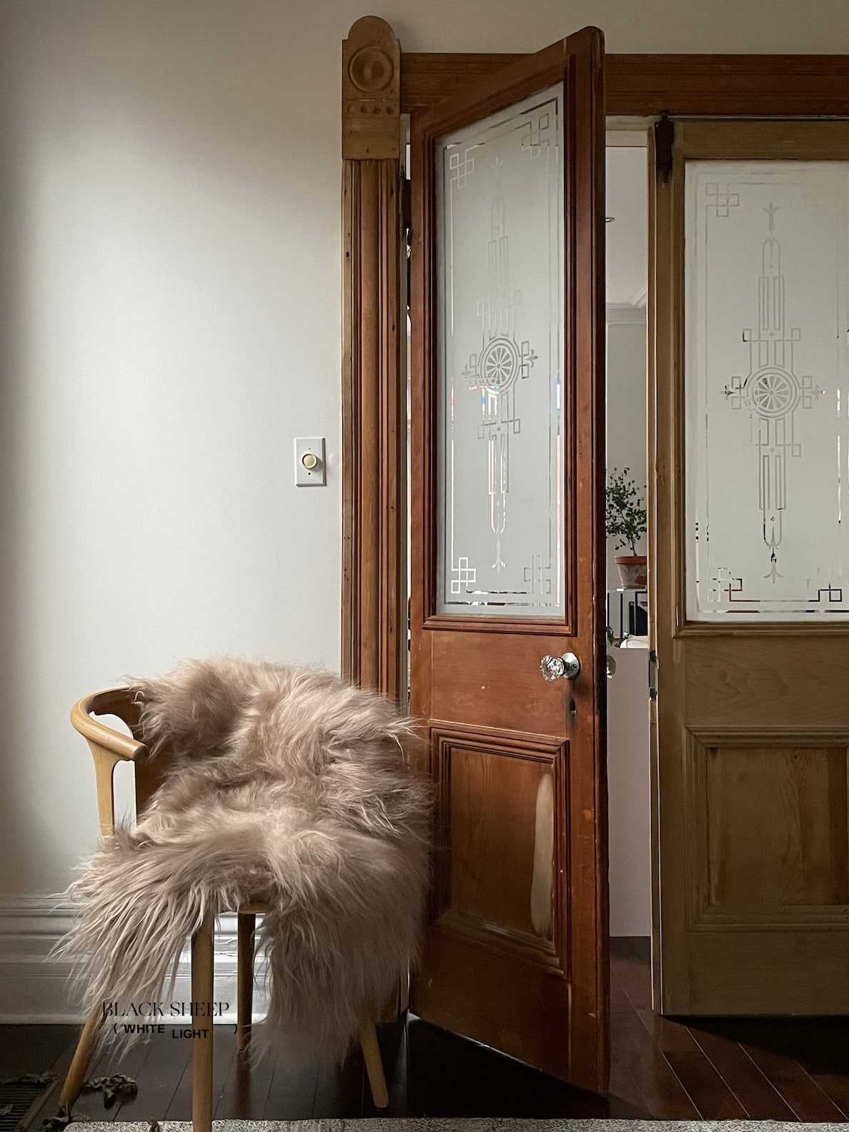 Camel Icelandic Sheepskin - Black Sheep (White Light)