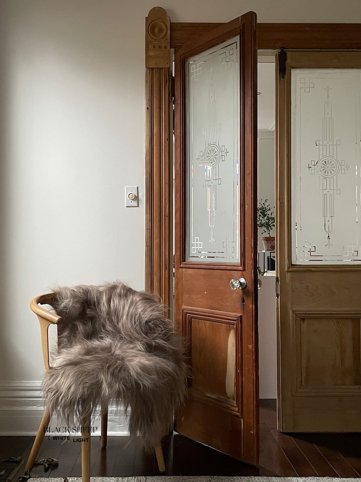 Taupe Icelandic Sheepskin - Black Sheep (White Light)