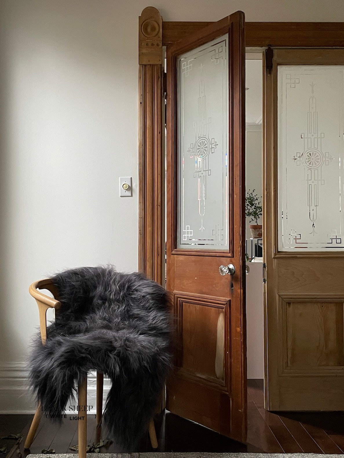 Steel Icelandic Sheepskin - Black Sheep (White Light)