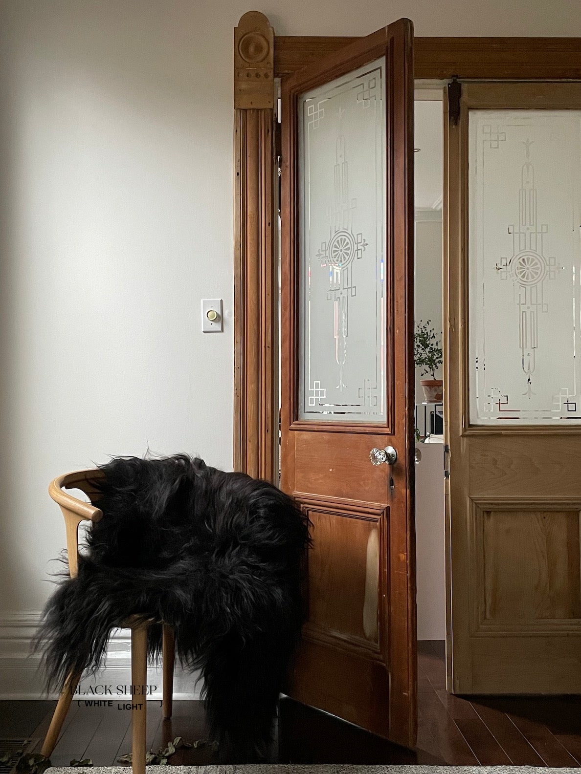 Black Icelandic Sheepskin - Black Sheep (White Light)