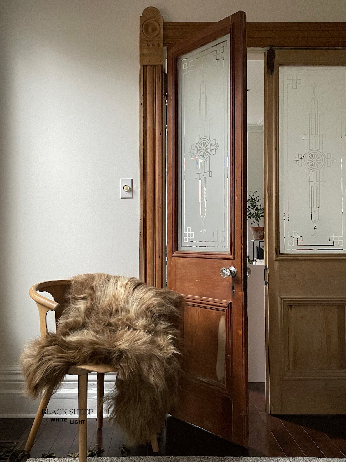 Light Brown Icelandic Sheepskin - Black Sheep (White Light)