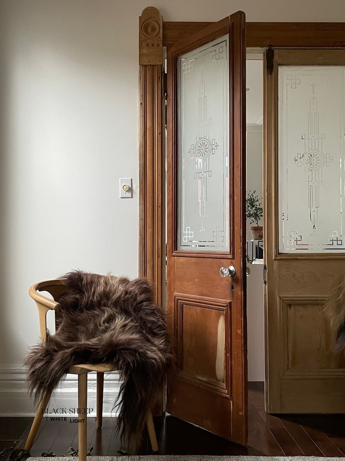 Dark Brown Icelandic Sheepskin - Black Sheep (White Light)