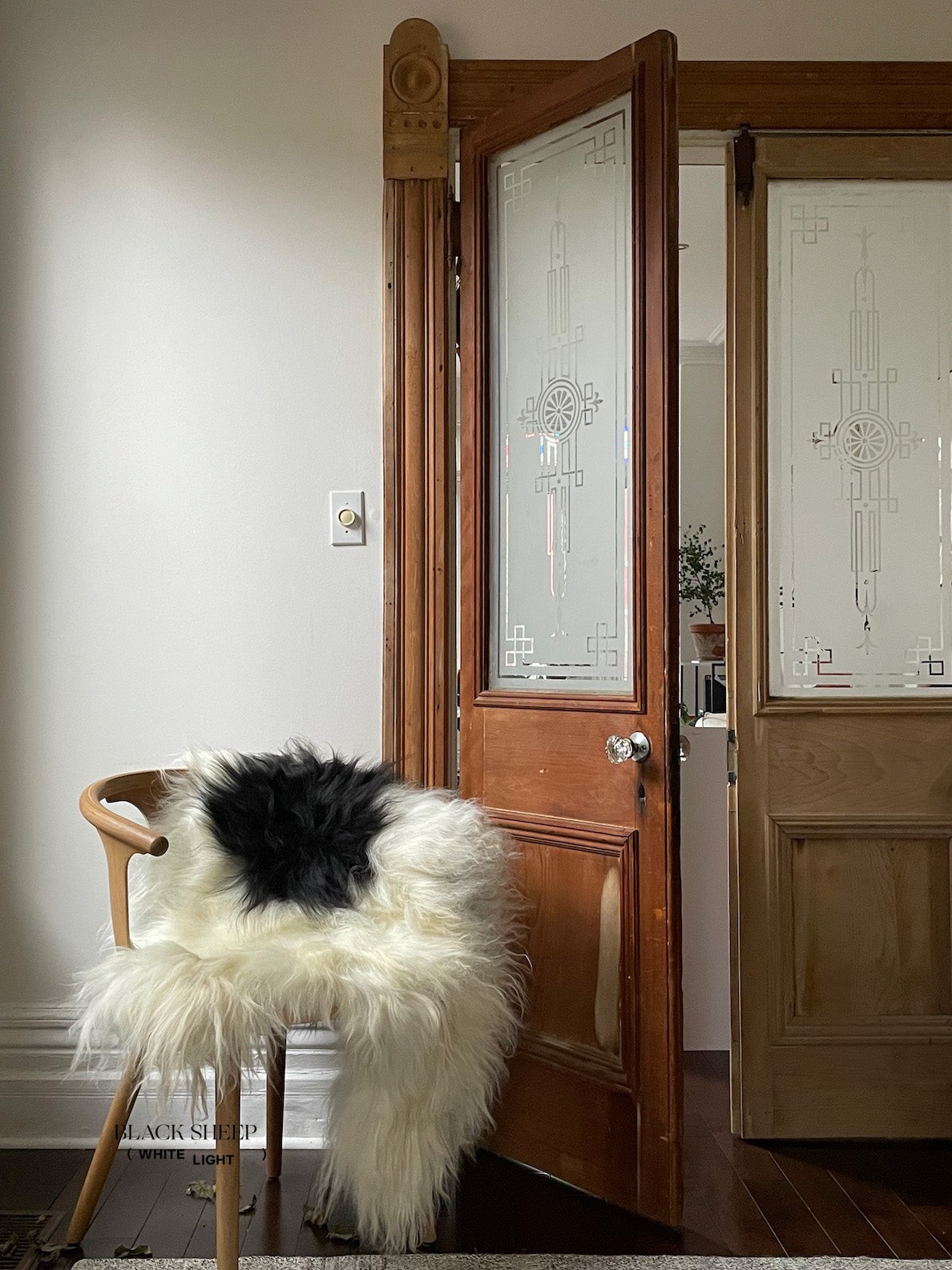 Black Spotted Icelandic Sheepskin | Random - Black Sheep (White Light)