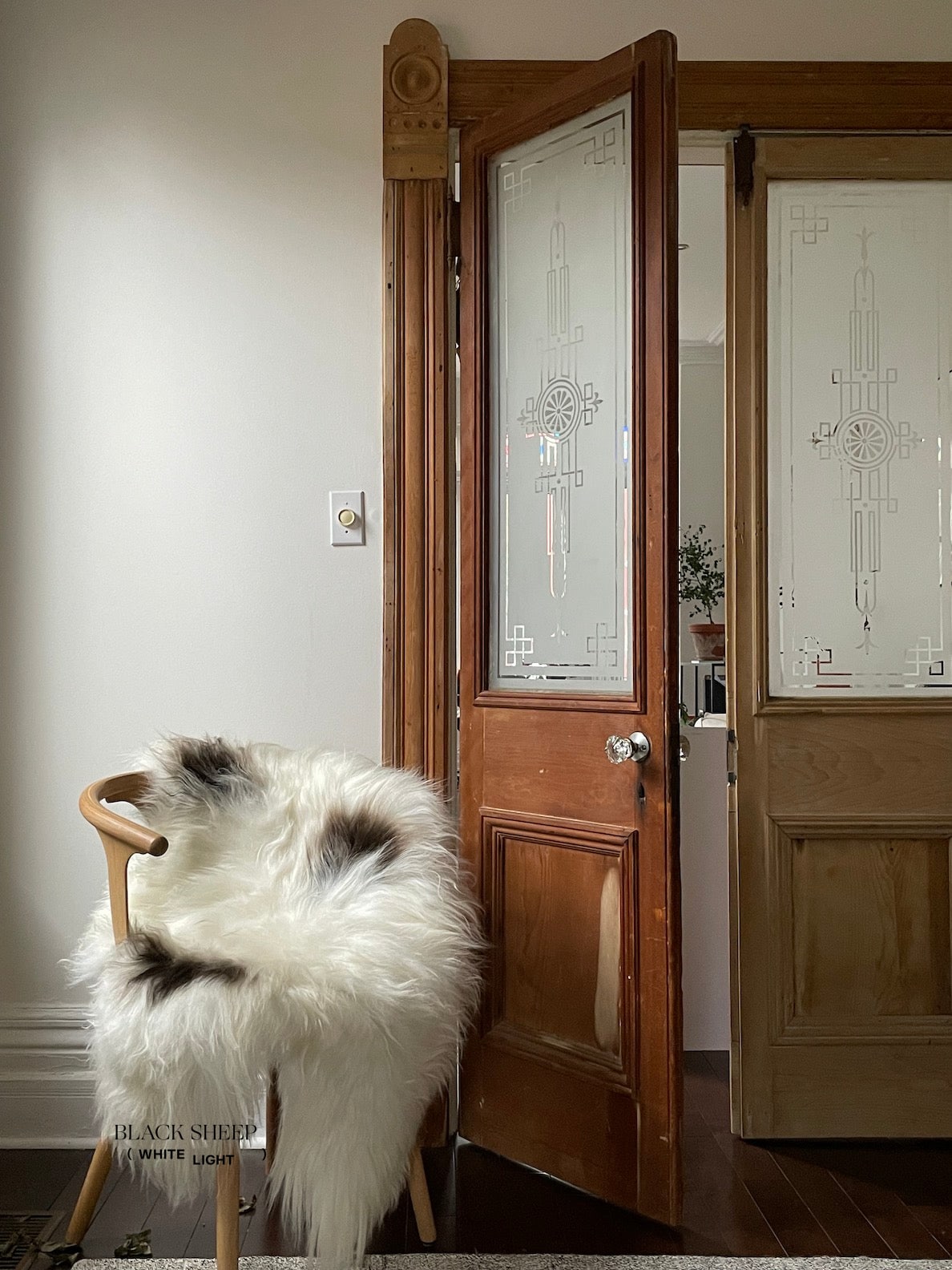 Spotted Icelandic Sheepskin | Minimal - Black Sheep (White Light)
