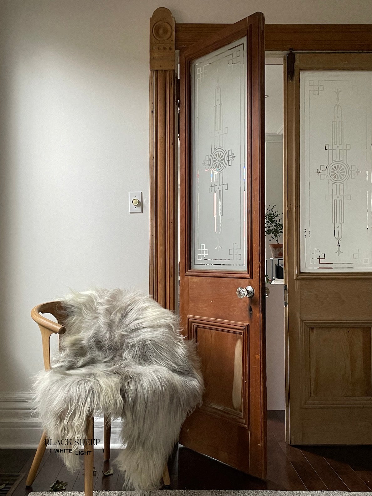 Natural Light Grey Icelandic Sheepskin - Black Sheep (White Light)