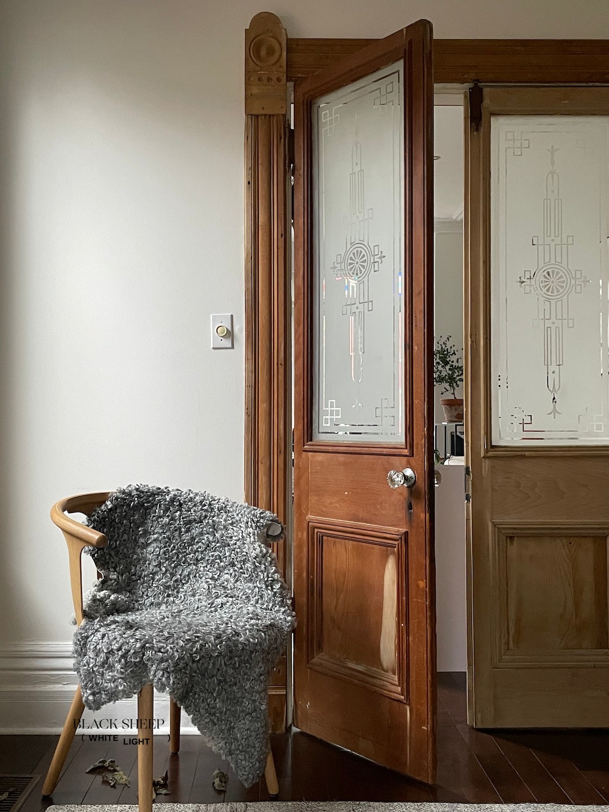 Grey Short Wool Gotland Sheepskin - Black Sheep (White Light)