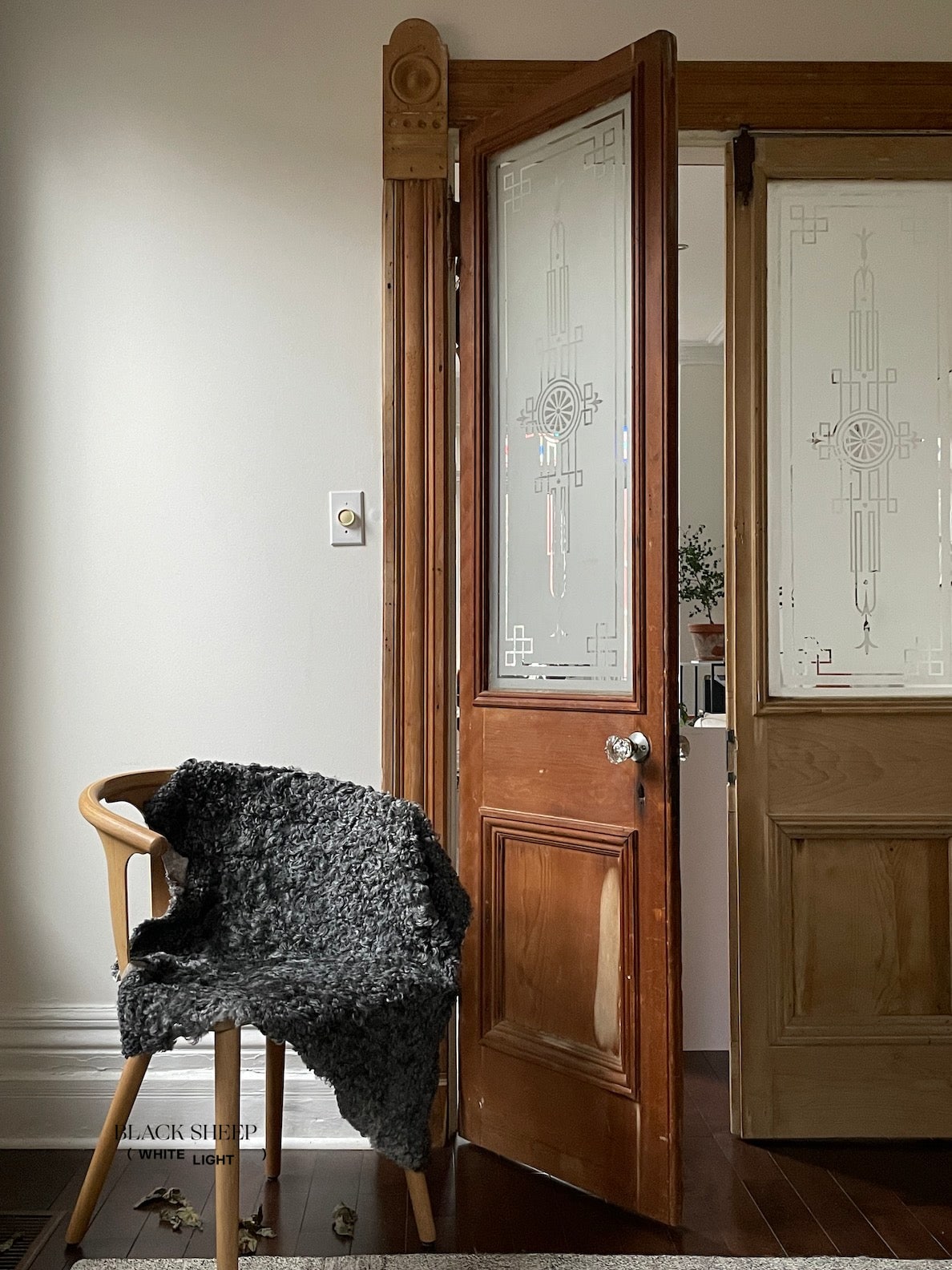 Grey Medium Wool Gotland Sheepskin - Black Sheep (White Light)