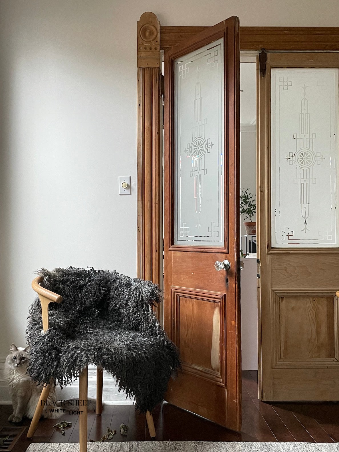 Grey Long Wool Gotland Sheepskin - Black Sheep (White Light)